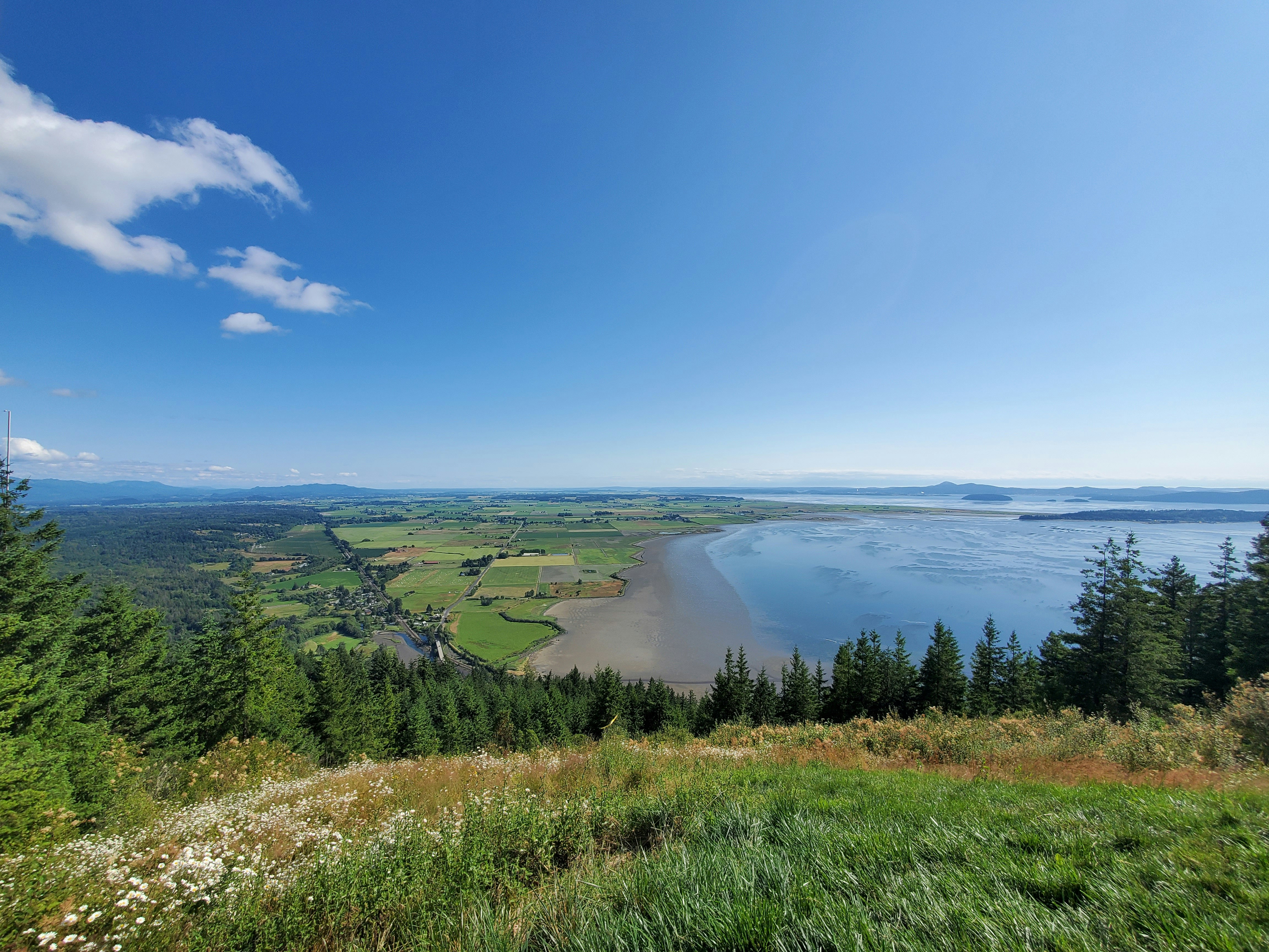 Photo by prolandscapes