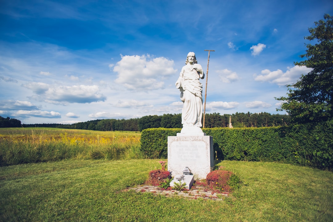 statue of man on green grass field under blue sky during daytime