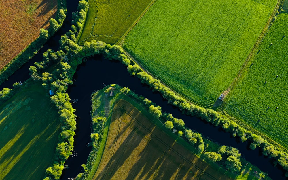 aerial view of green field