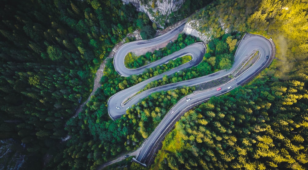 aerial view of road in the middle of forest