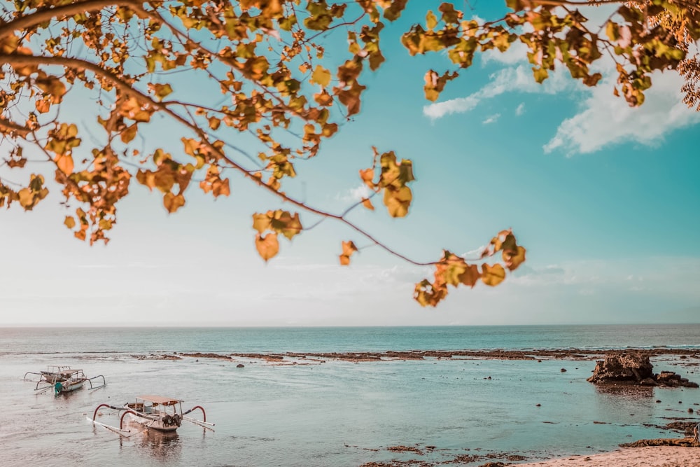 brown tree near body of water during daytime