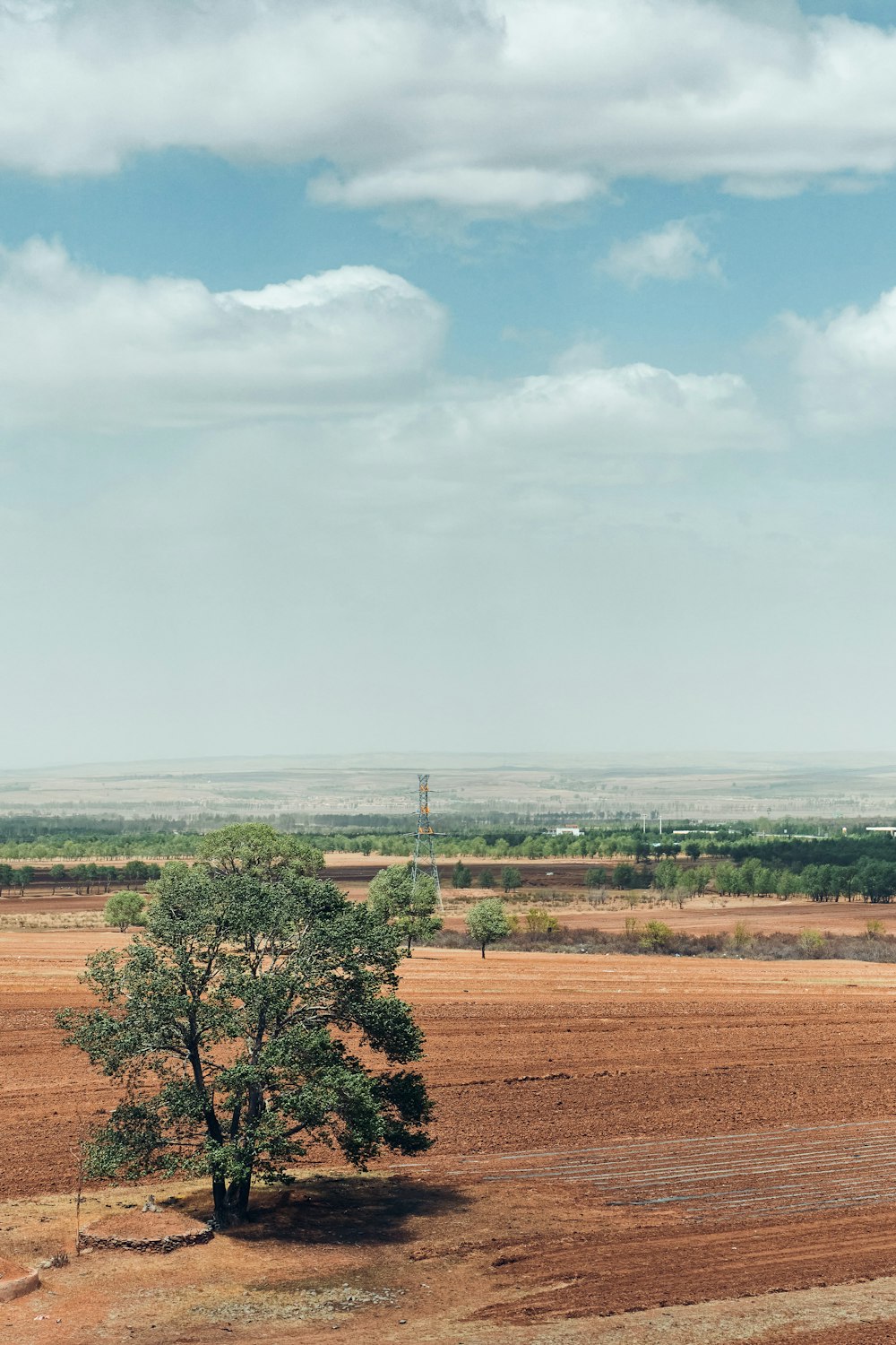 green trees on brown field under white clouds during daytime