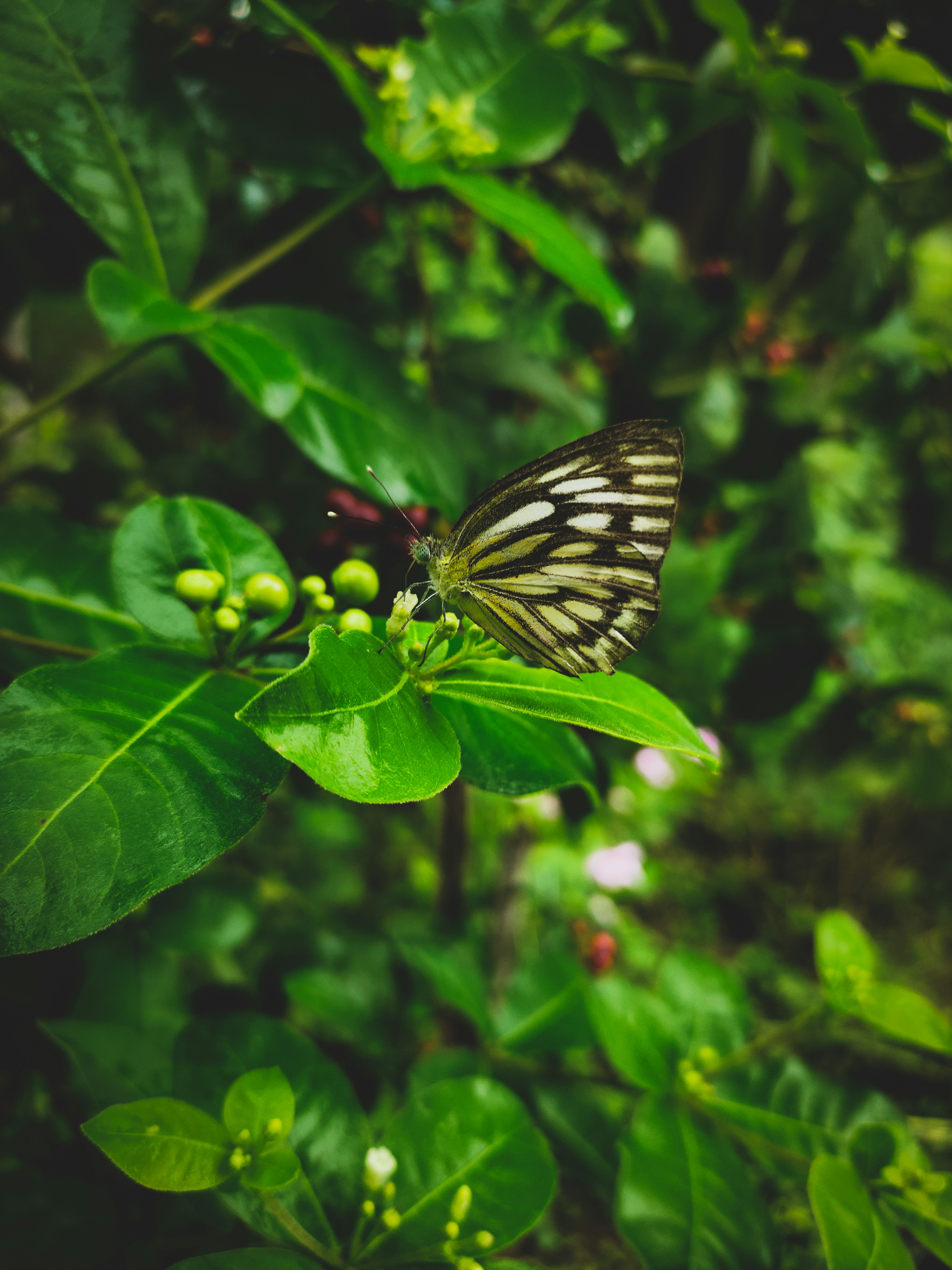 Photo by shekhar8018