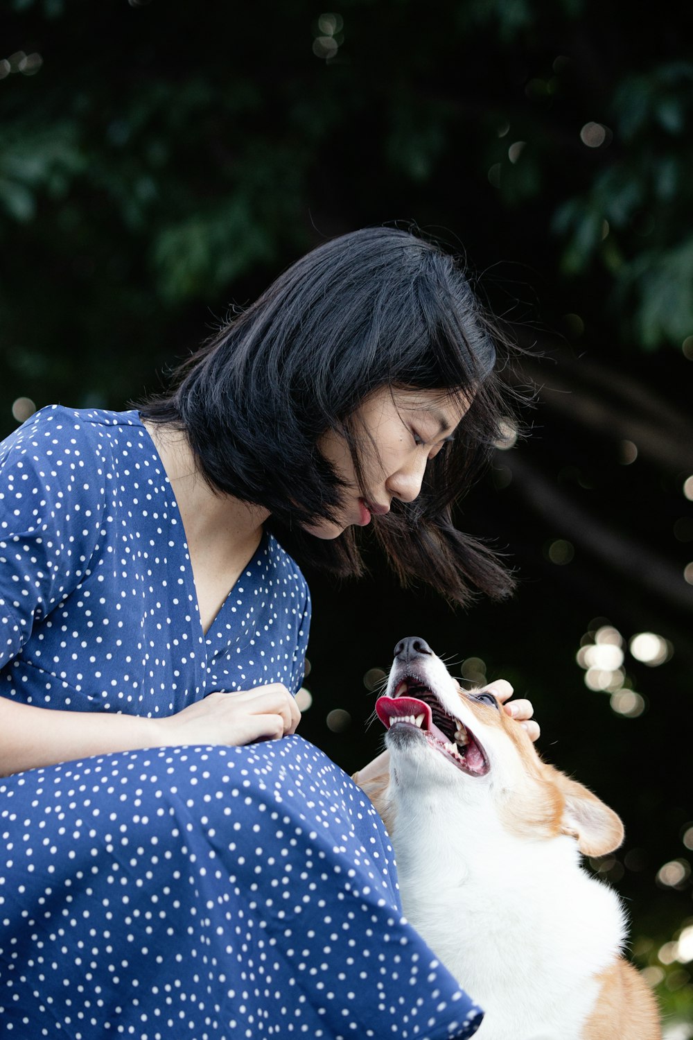 woman in blue and white polka dot dress holding white short coated dog