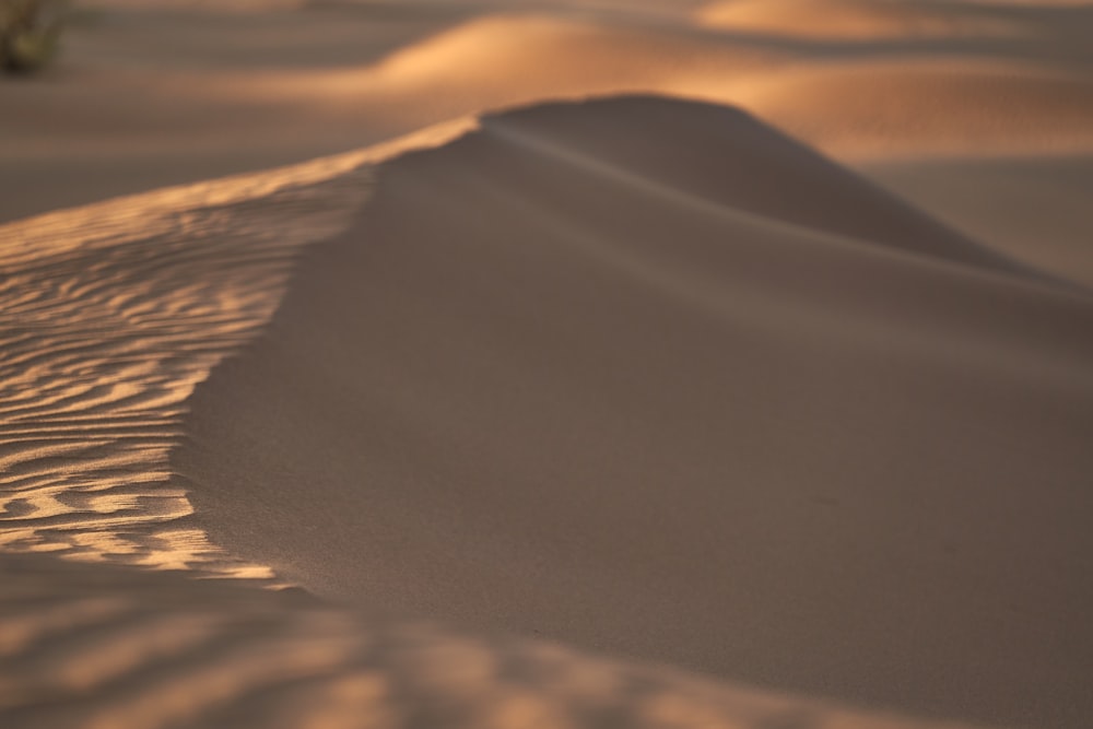 brown sand with water during daytime