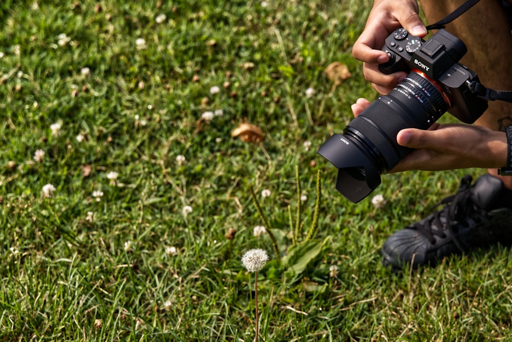 pessoa segurando a câmera dslr preta no campo de grama verde durante o dia