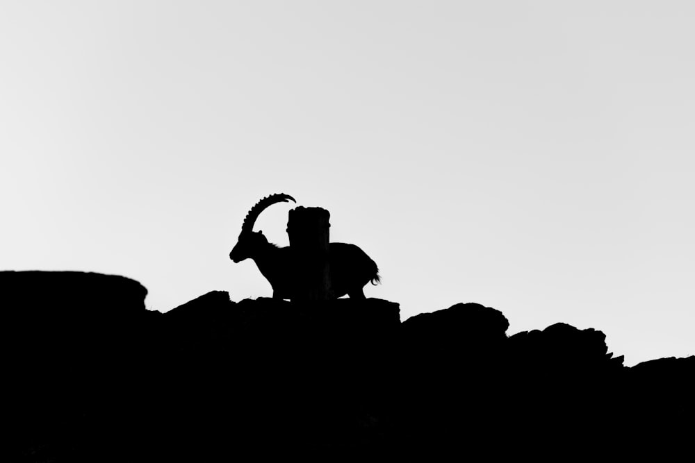 silhouette of people on rock formation
