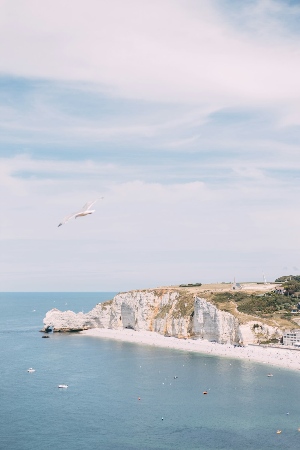 bird flying over the sea during daytime