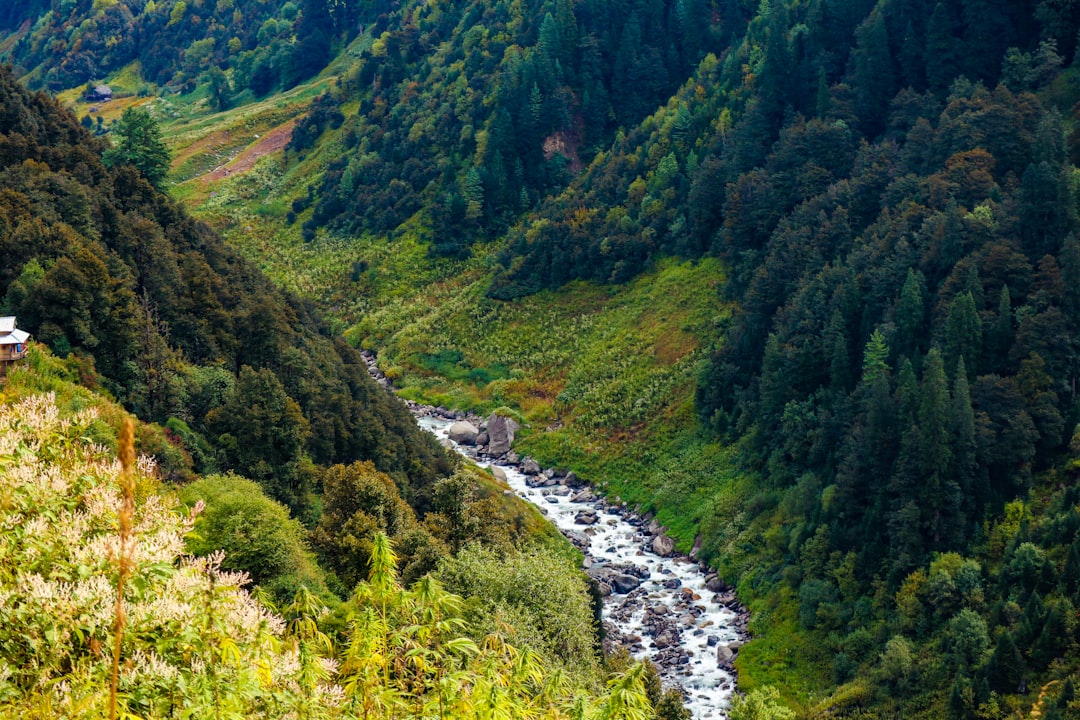 Nature reserve photo spot Malana Dharamshala