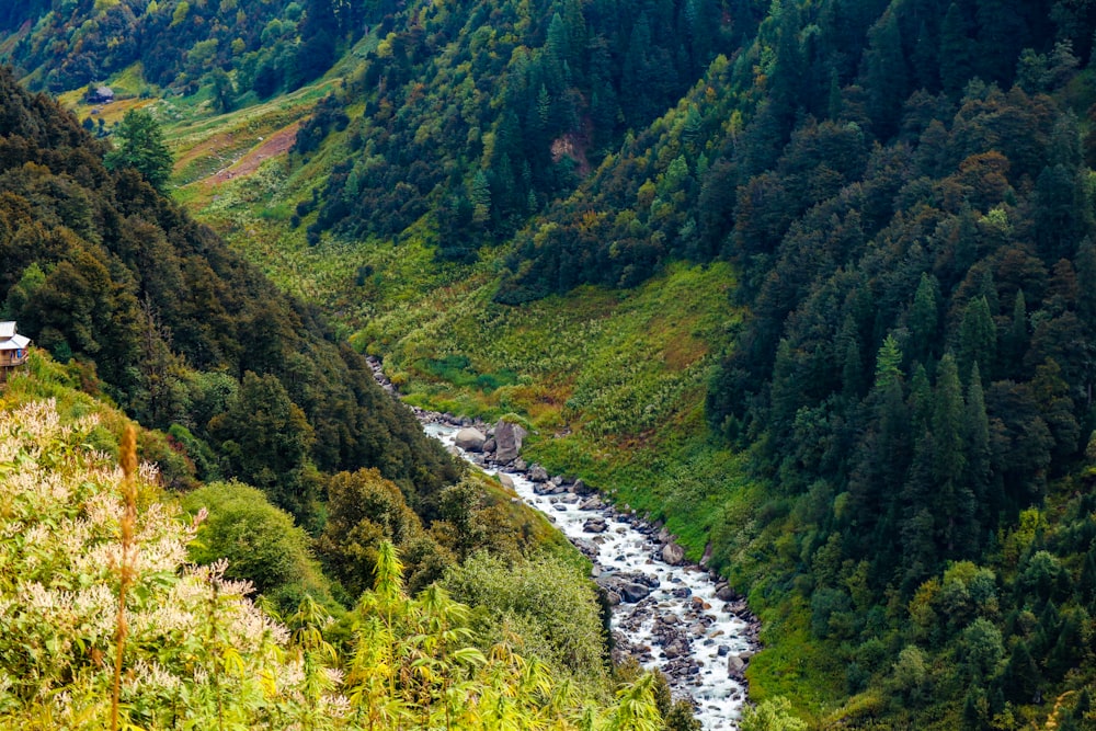 green mountains and river during daytime