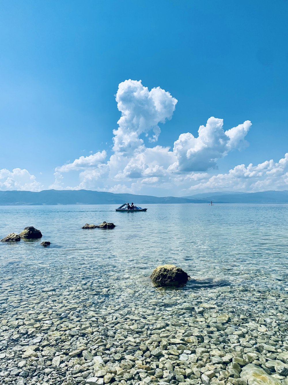 昼間は青空の下、海で泳ぐ人々