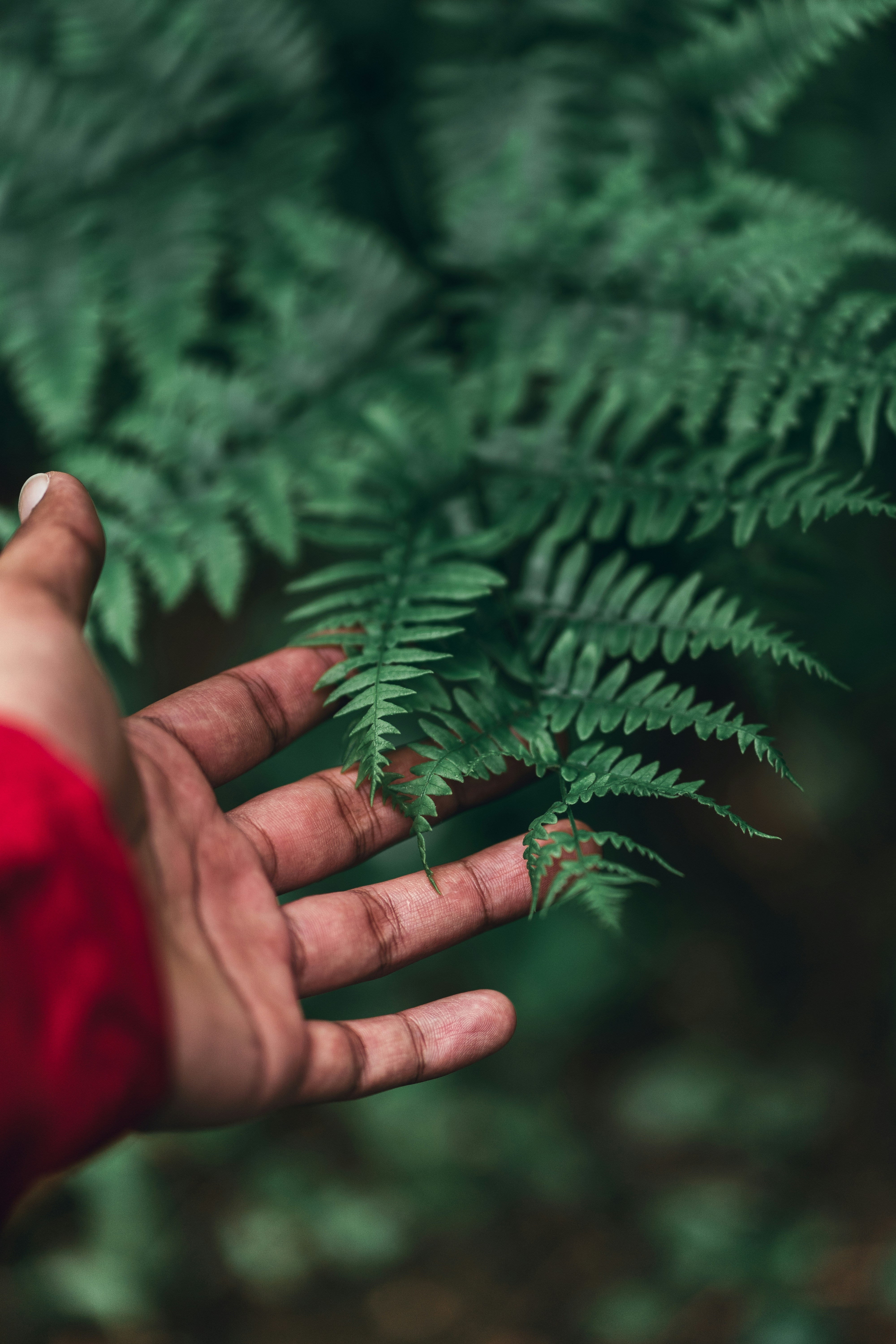 Photo by shaqhossain