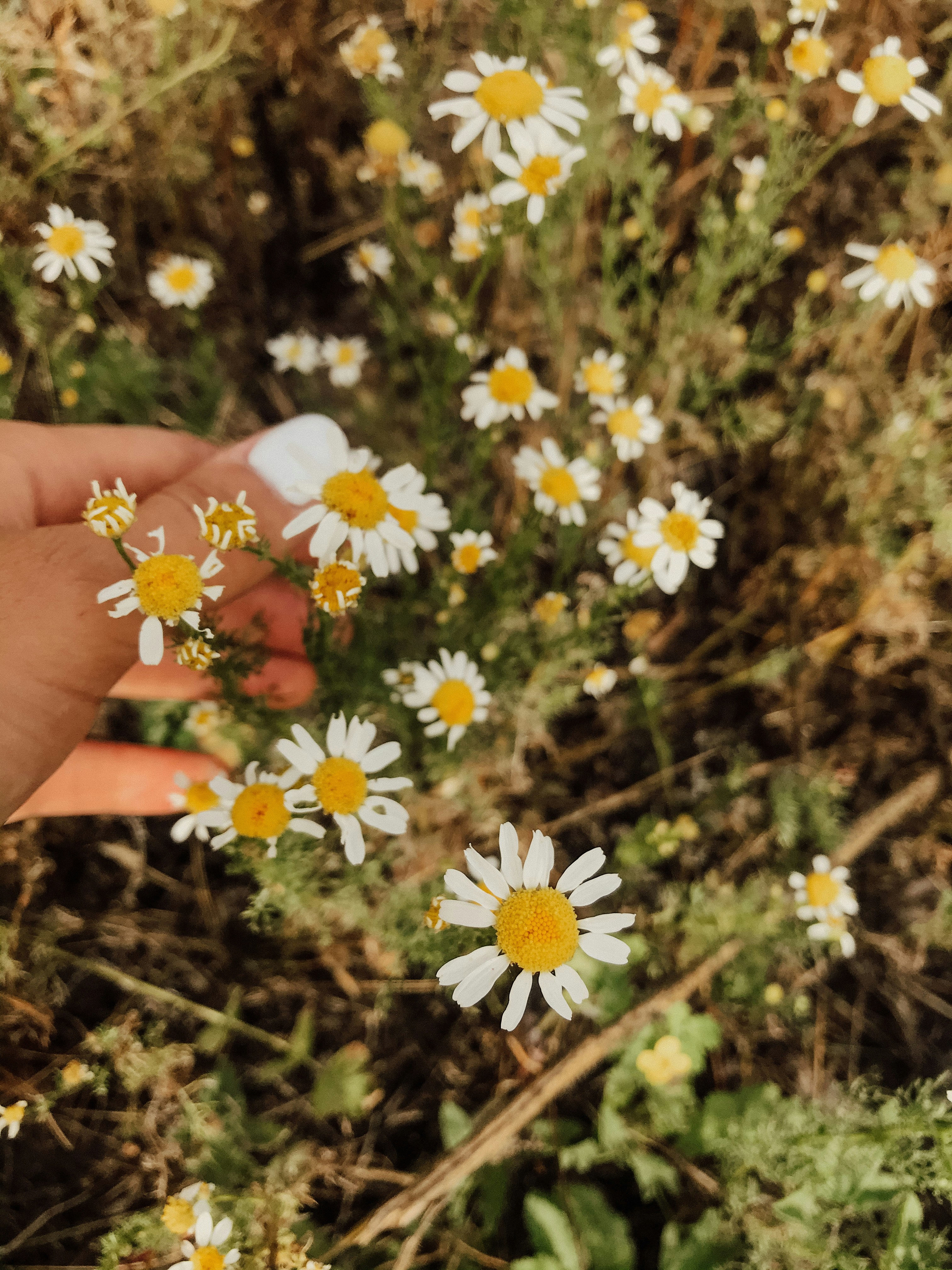 Photo by violettaritter24