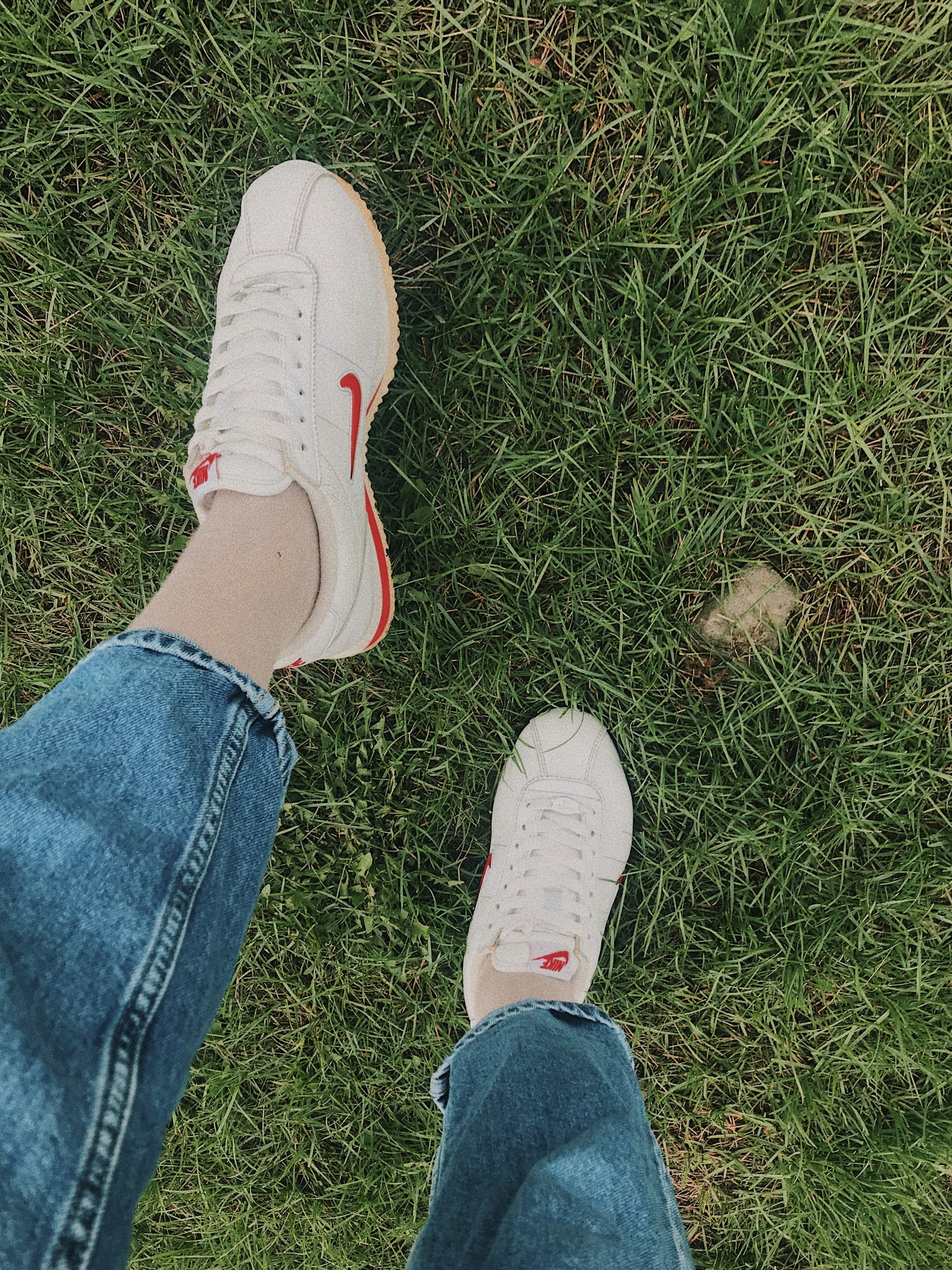 Photo by violettaritter24