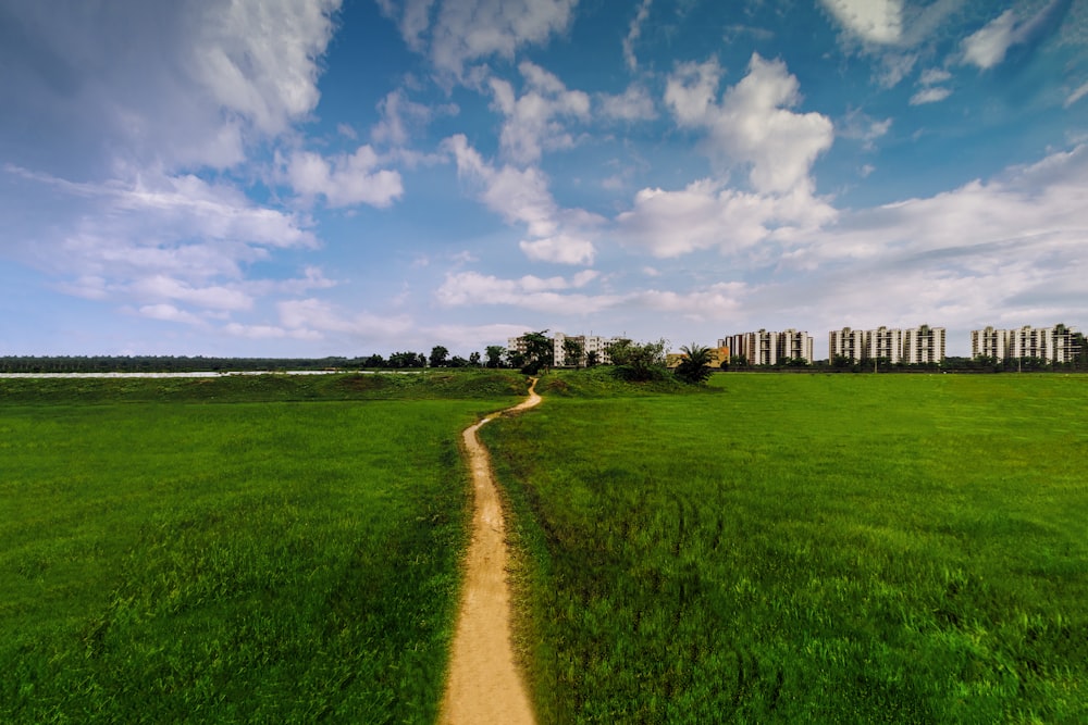 green grass field under blue sky during daytime