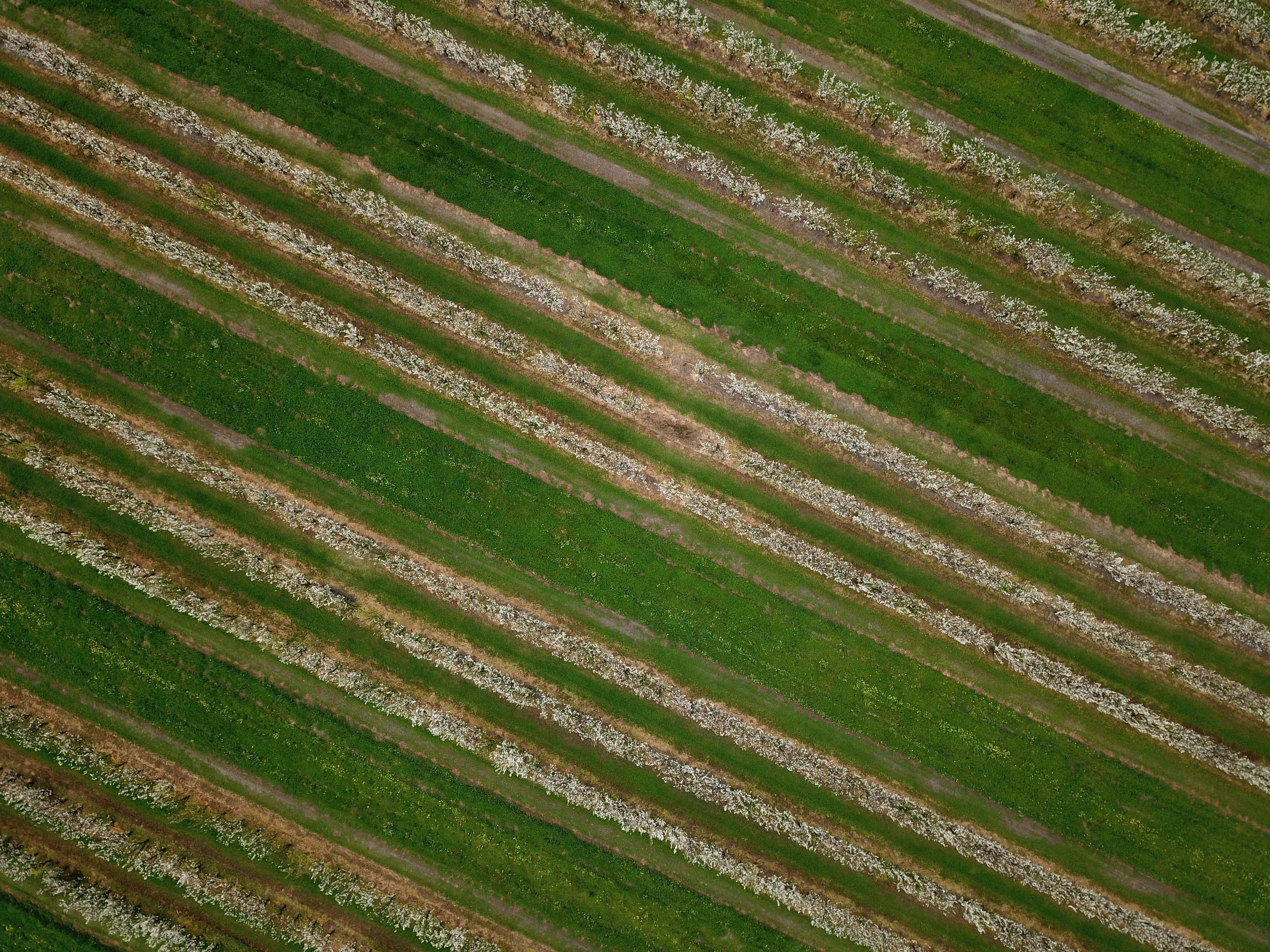 Photo by jakeallison