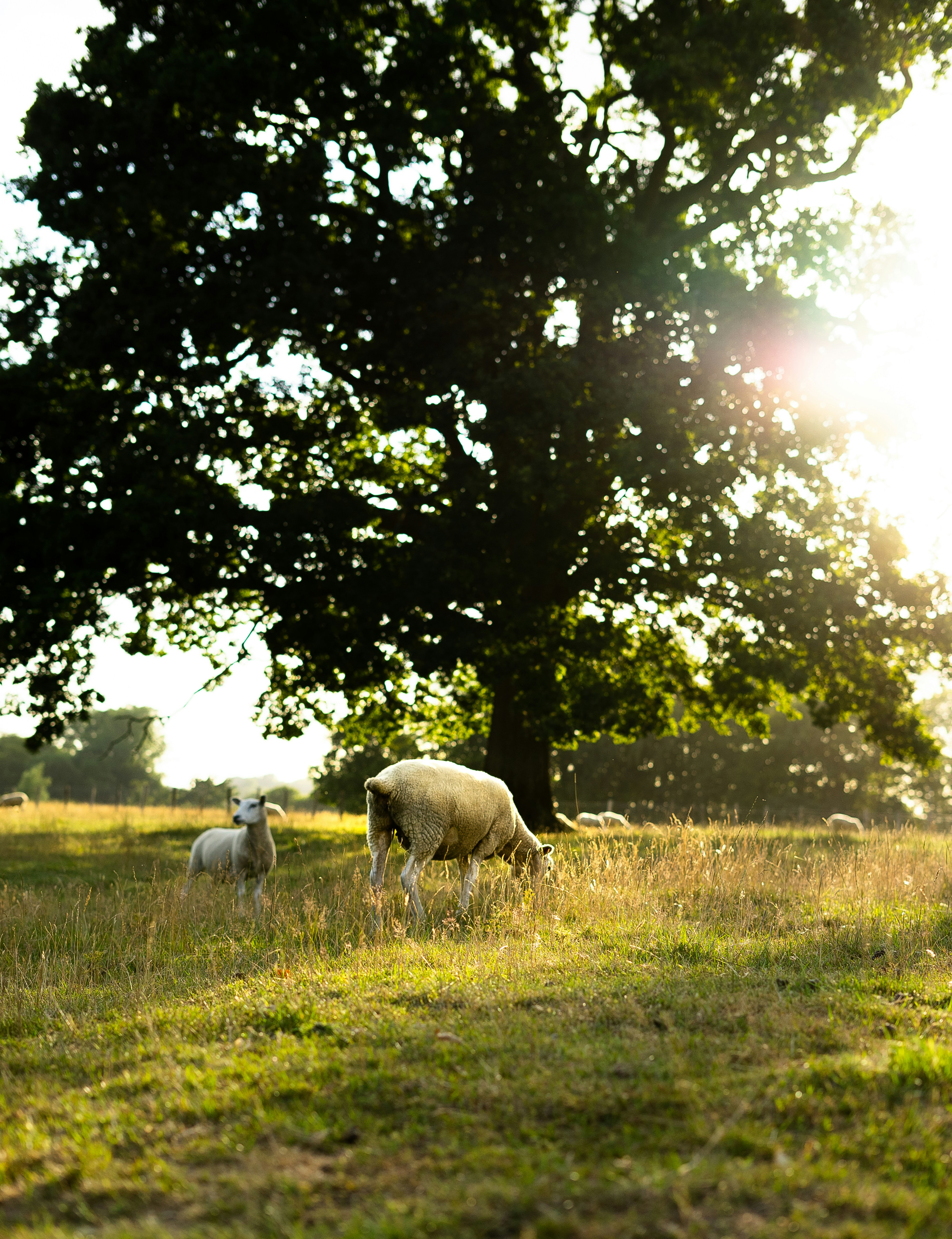 Photo by willwright99