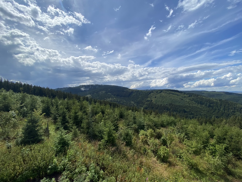 Grüne Bäume am Berg unter blauem Himmel tagsüber