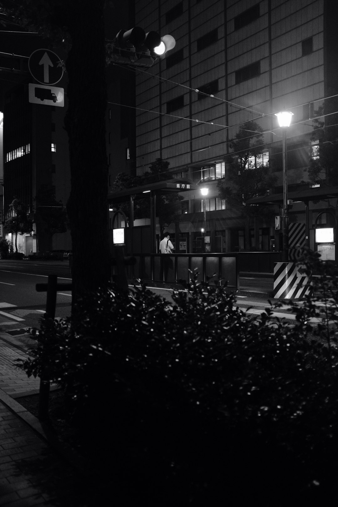 grayscale photo of trees near building