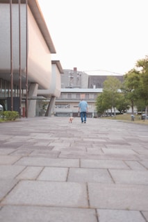 A person in casual attire is walking a dog on a wide paved walkway, lined with modern architectural buildings. The setting appears to be an urban or campus area with large buildings and greenery in the background.