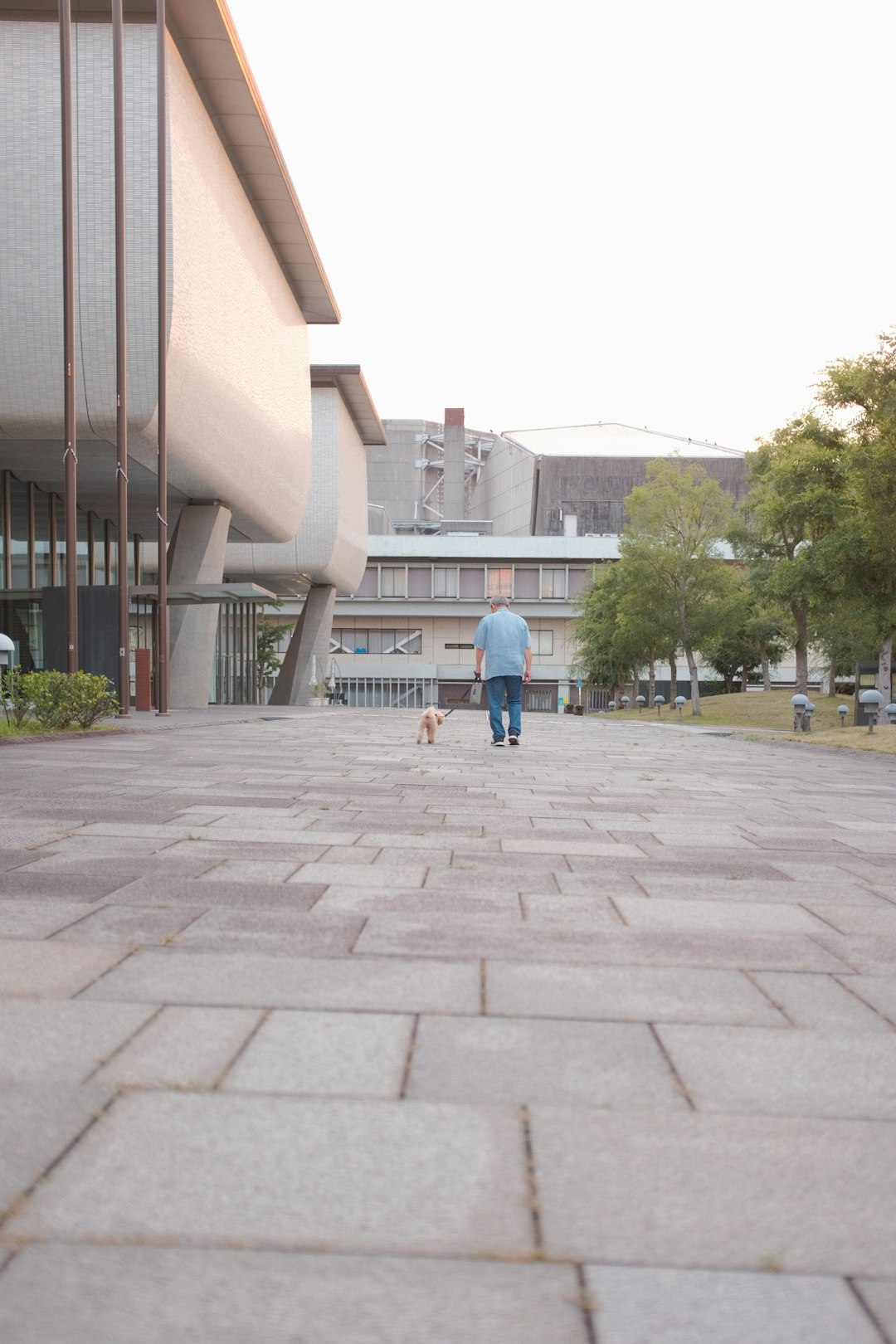 man in blue shirt walking on sidewalk during daytime