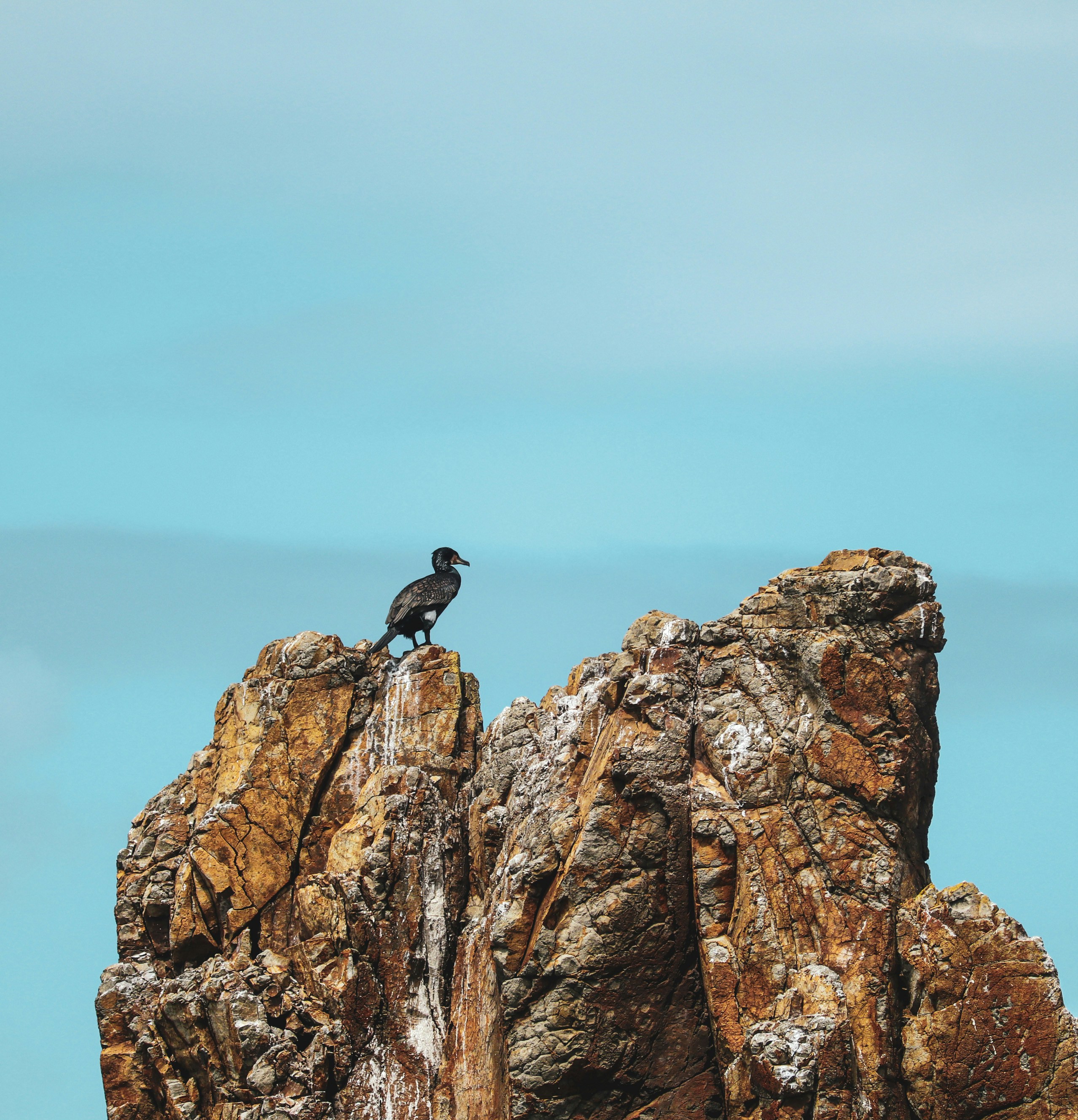 Photo by dmytrodanylyk