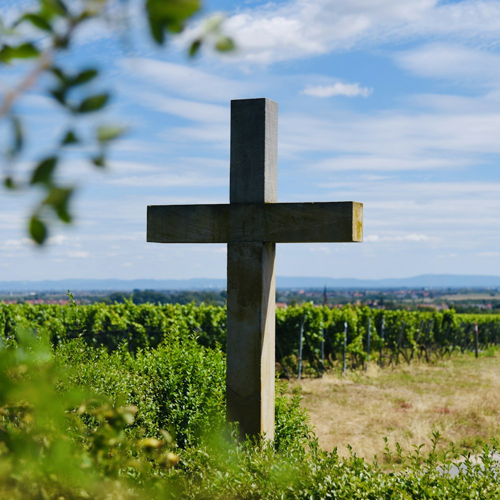 cruz de madera marrón en campo de hierba verde bajo cielo azul durante el día