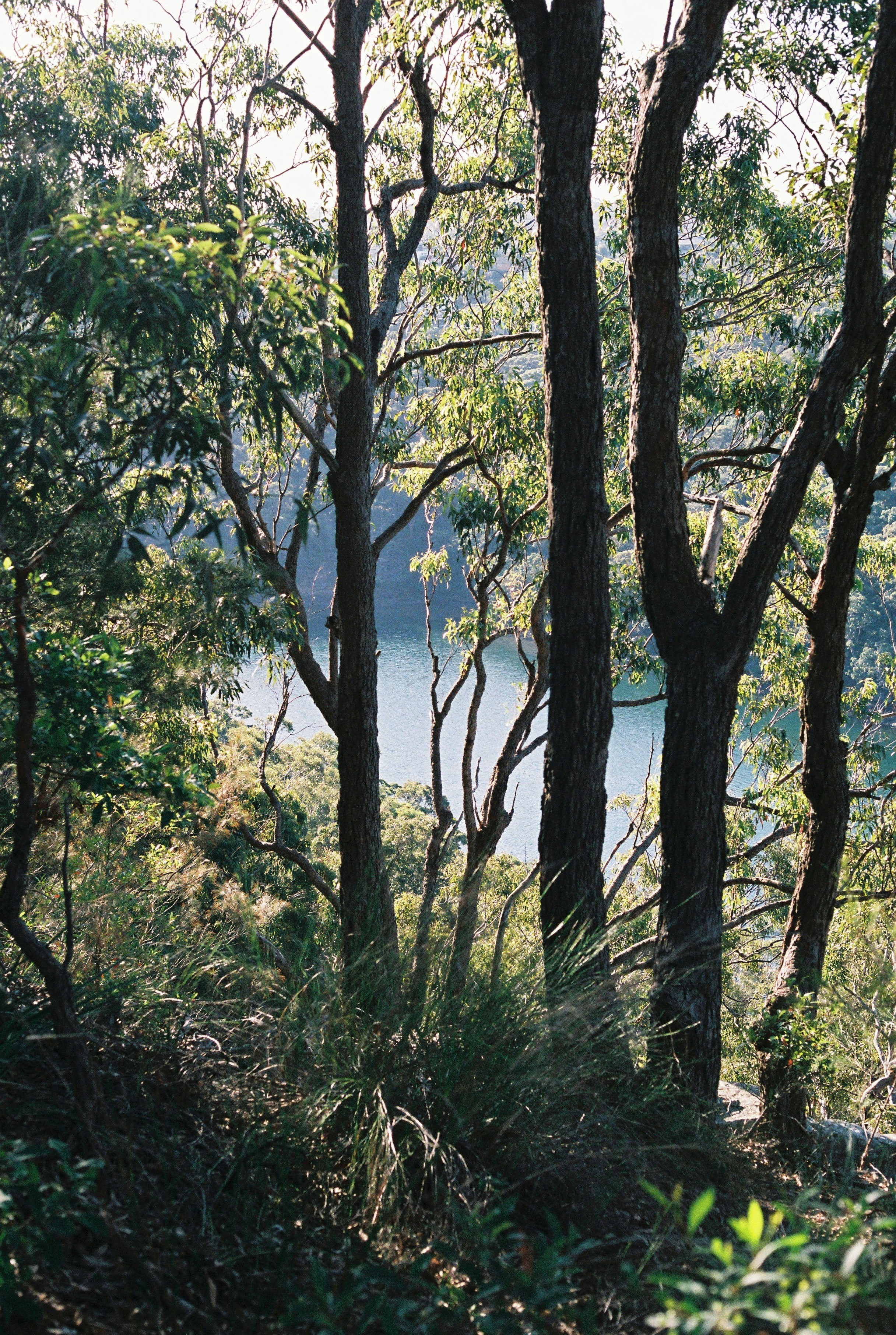 Photo by callumpastuszak