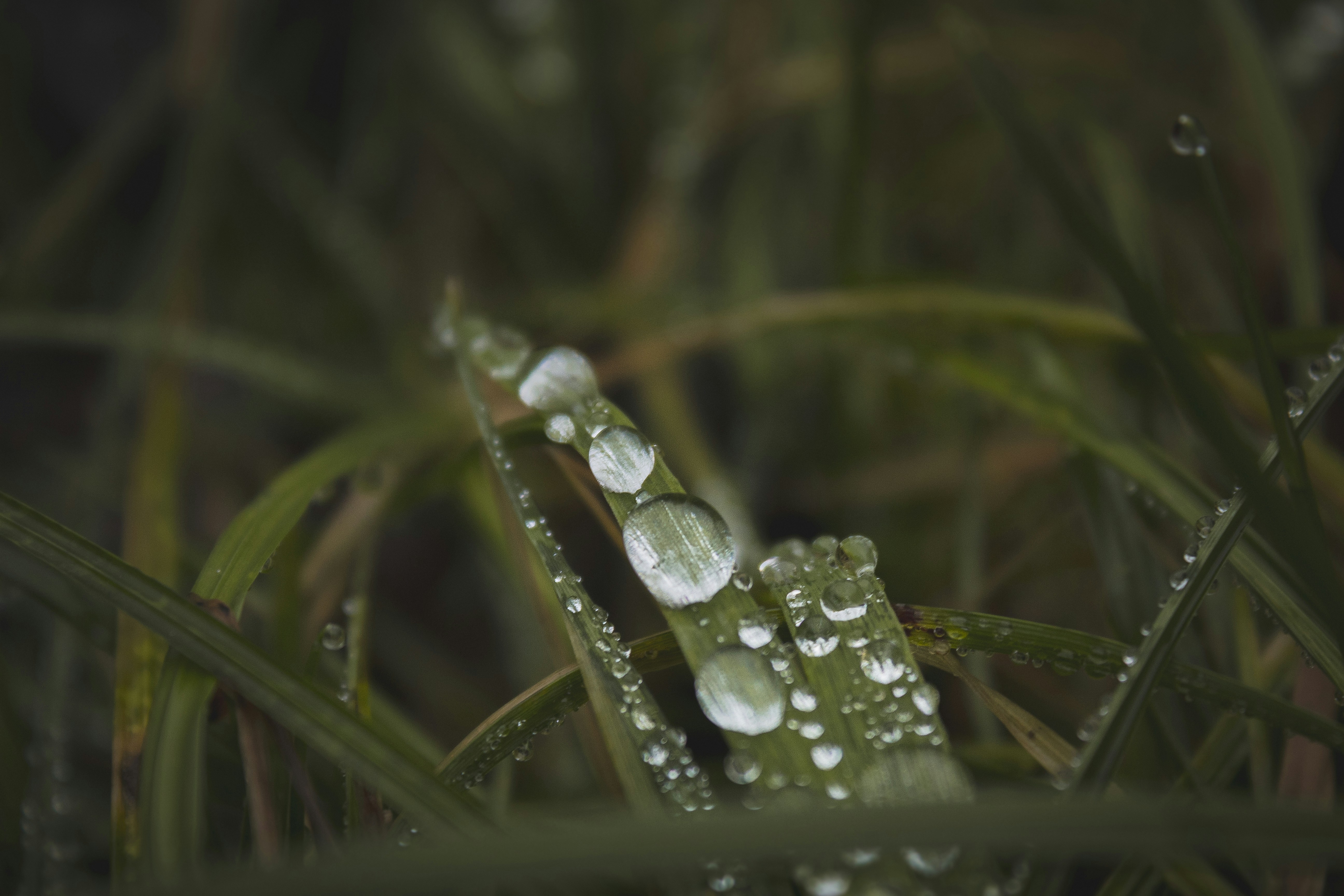 Photo by nkend