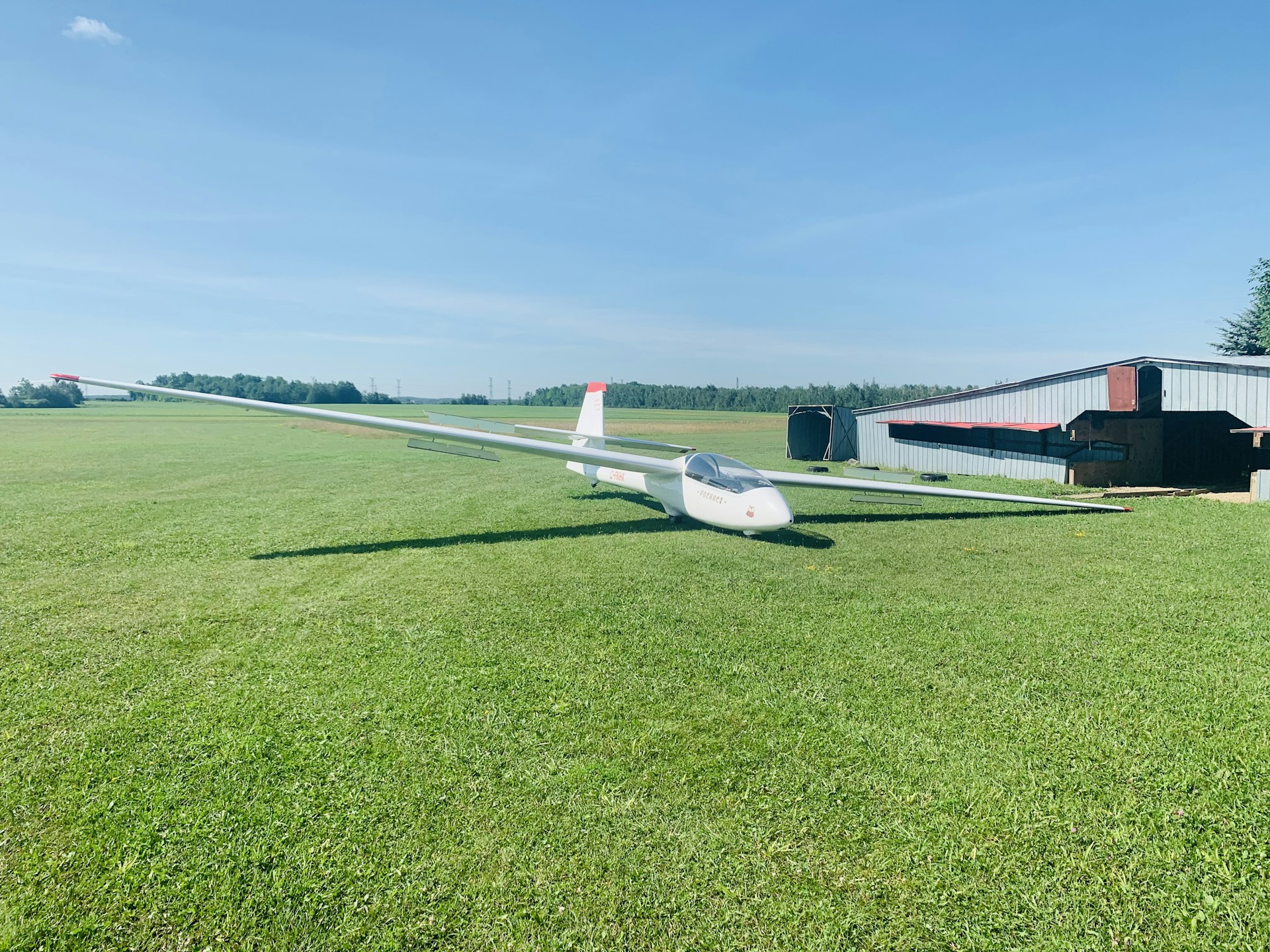 woman wearing yellow long-sleeved dress under white clouds and blue sky during daytime