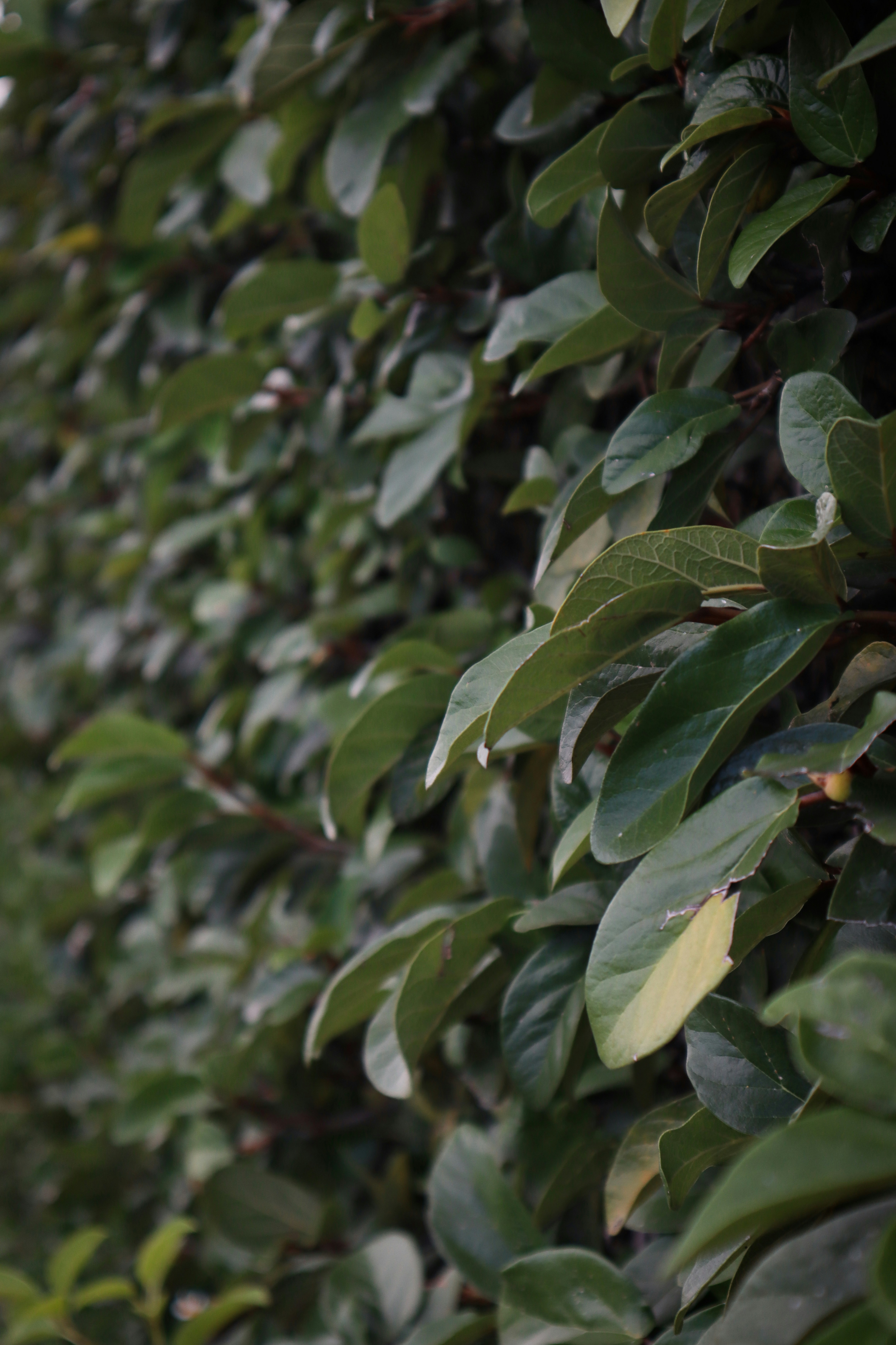 Photo by benjamin_1017