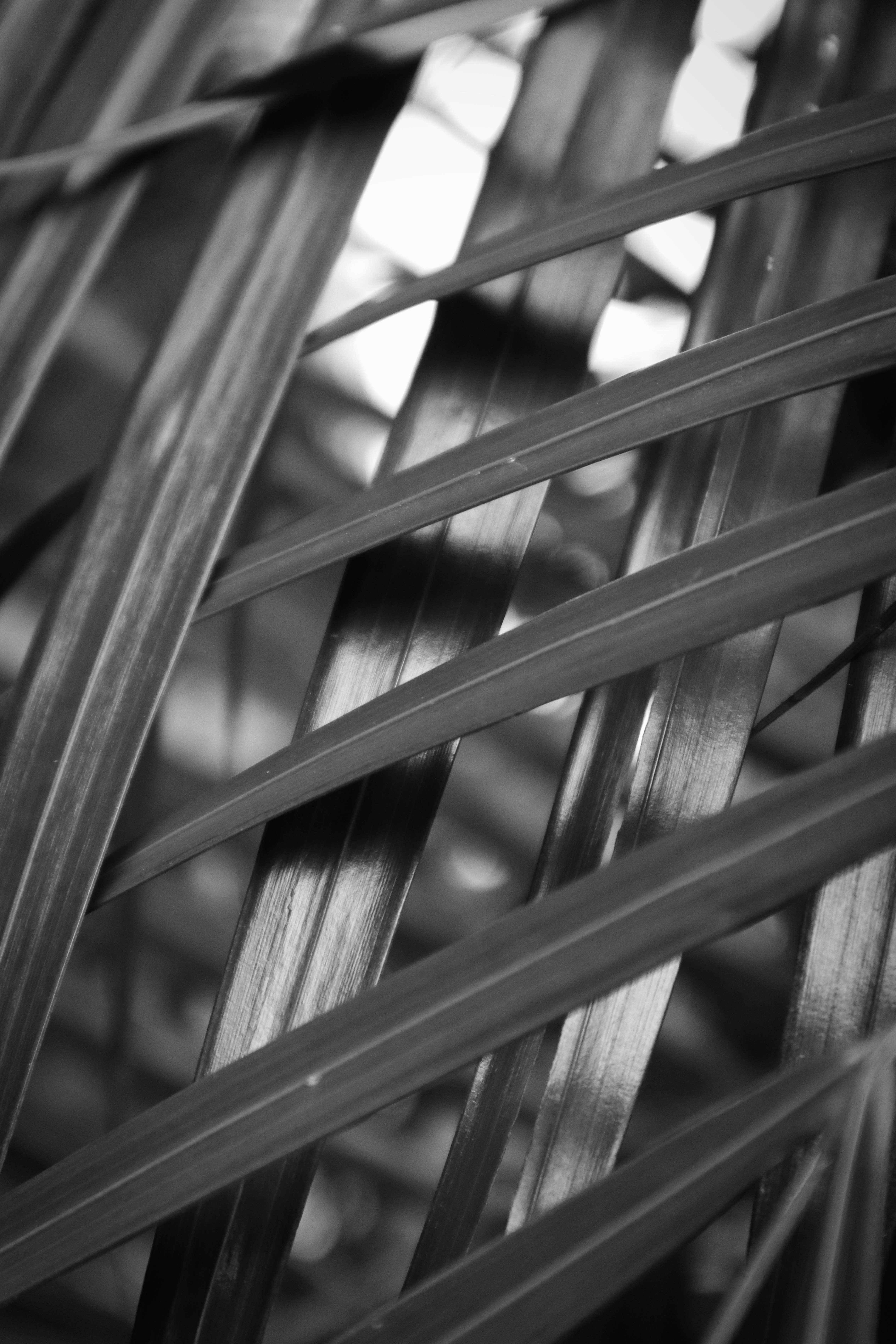 Photo by benjamin_1017