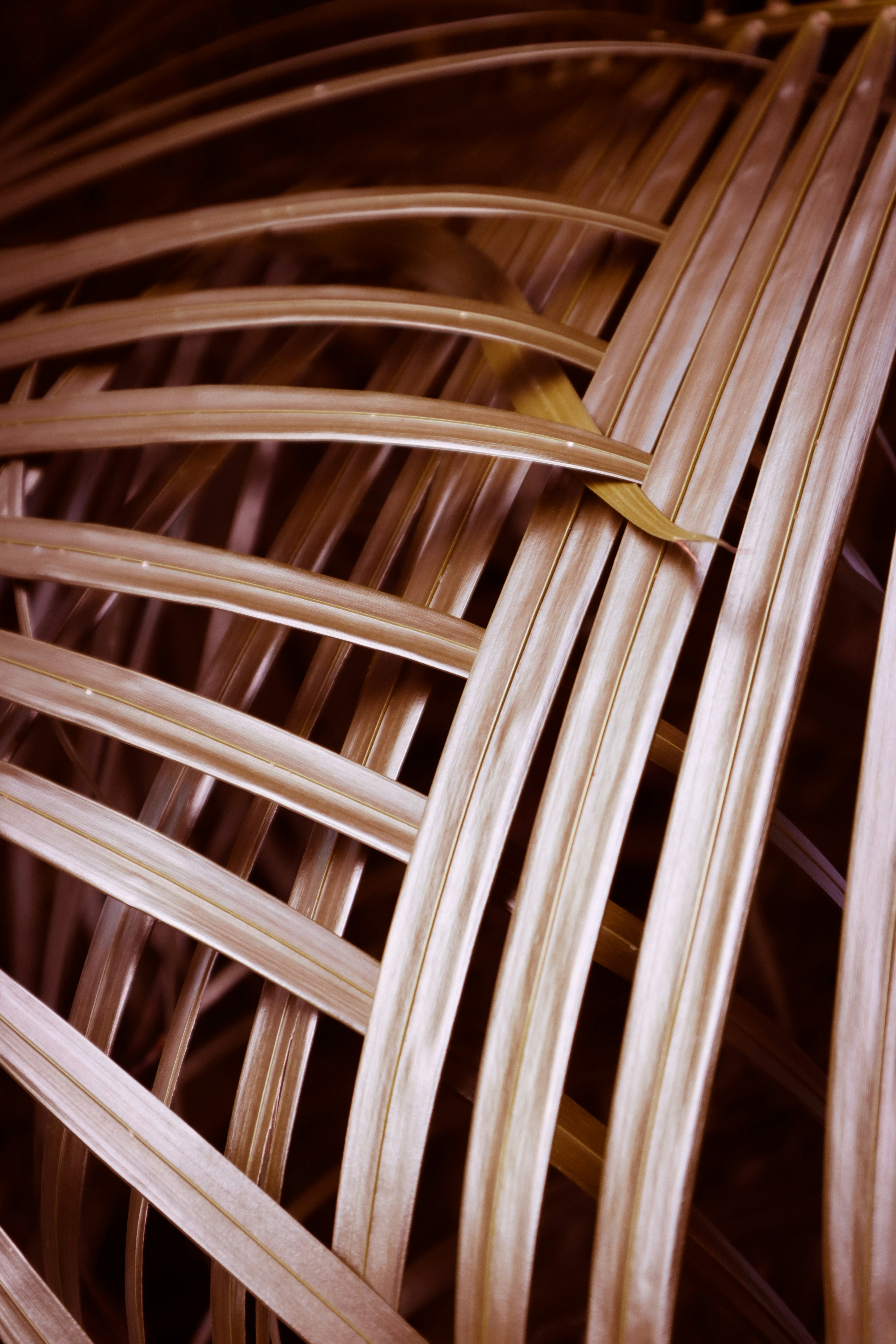 Photo by benjamin_1017