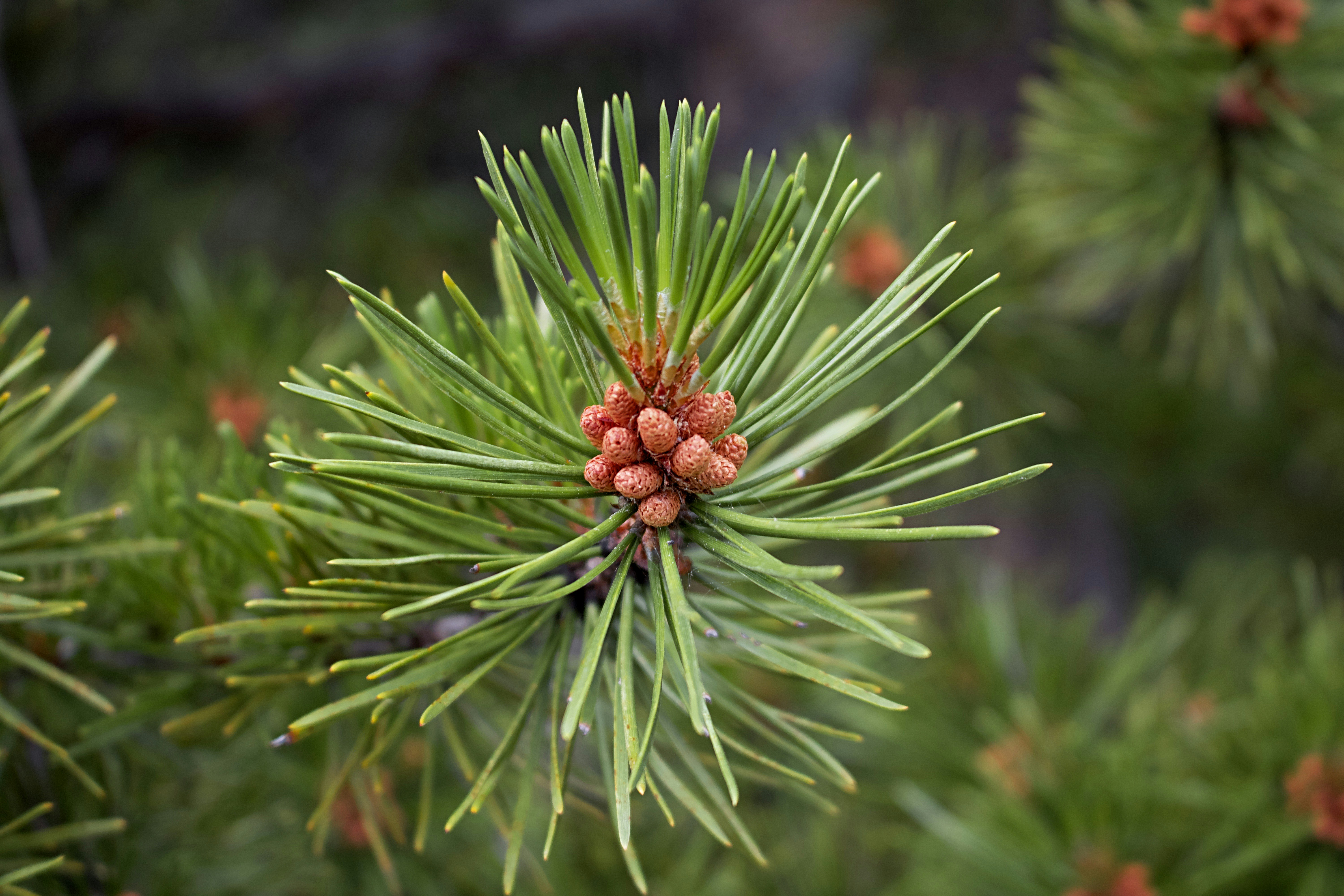 Photo by picsbyjameslee