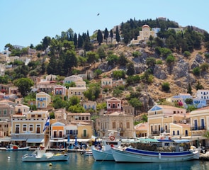 blue and white boat on body of water near green trees during daytime