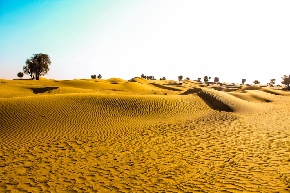 people riding camel on desert during daytime