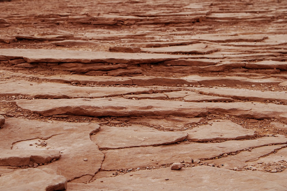 brown sand near body of water during daytime