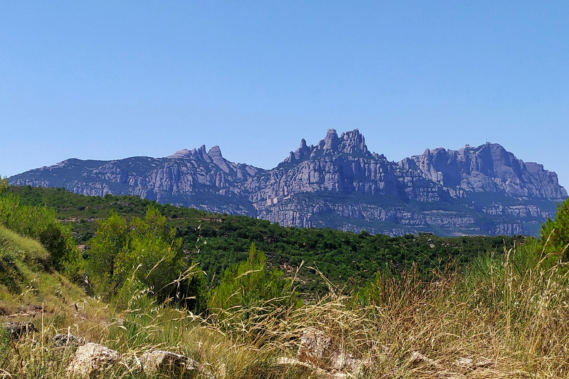green grass and brown mountain during daytime