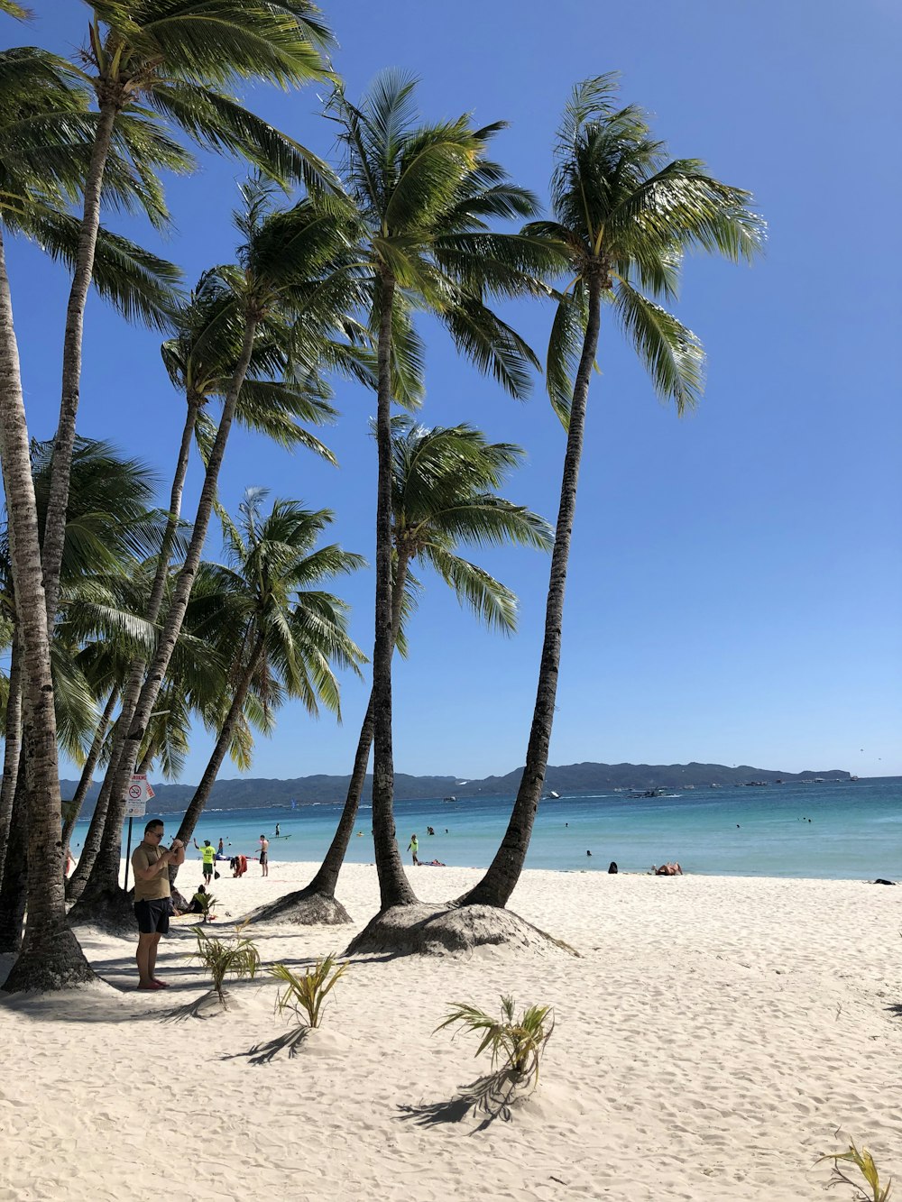 pessoas na praia durante o dia