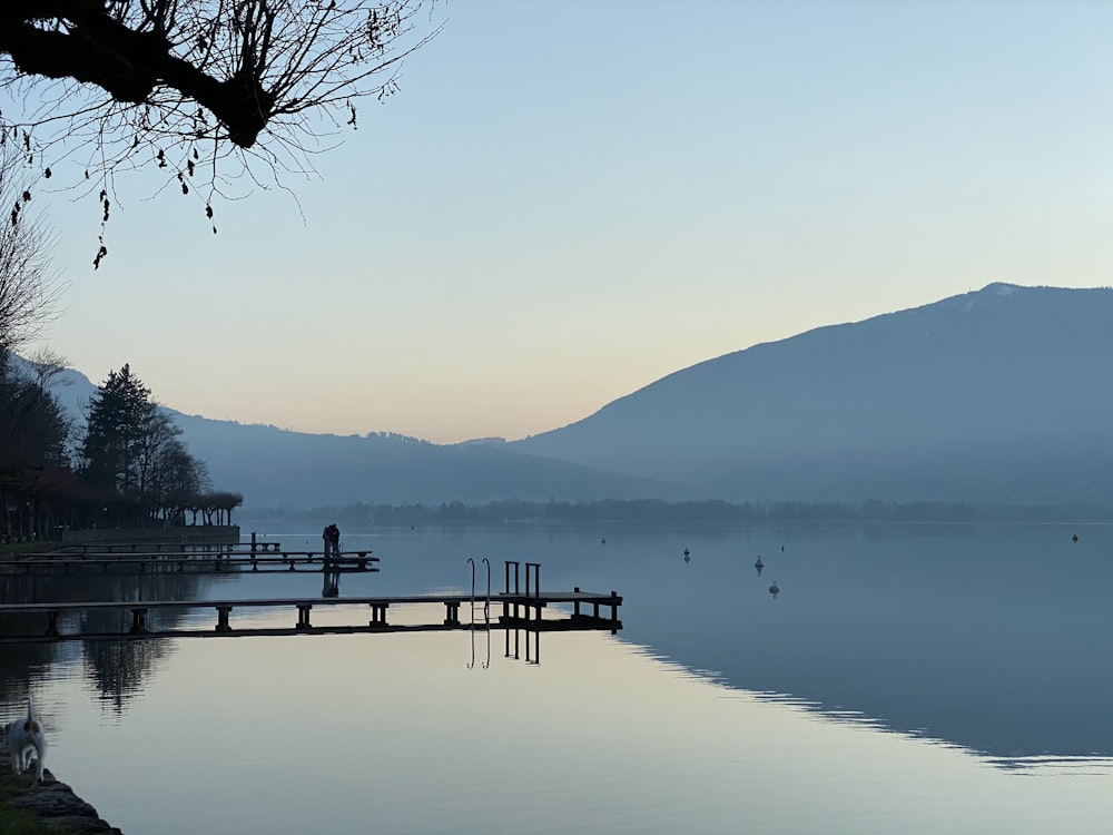 brown wooden dock on lake during daytime