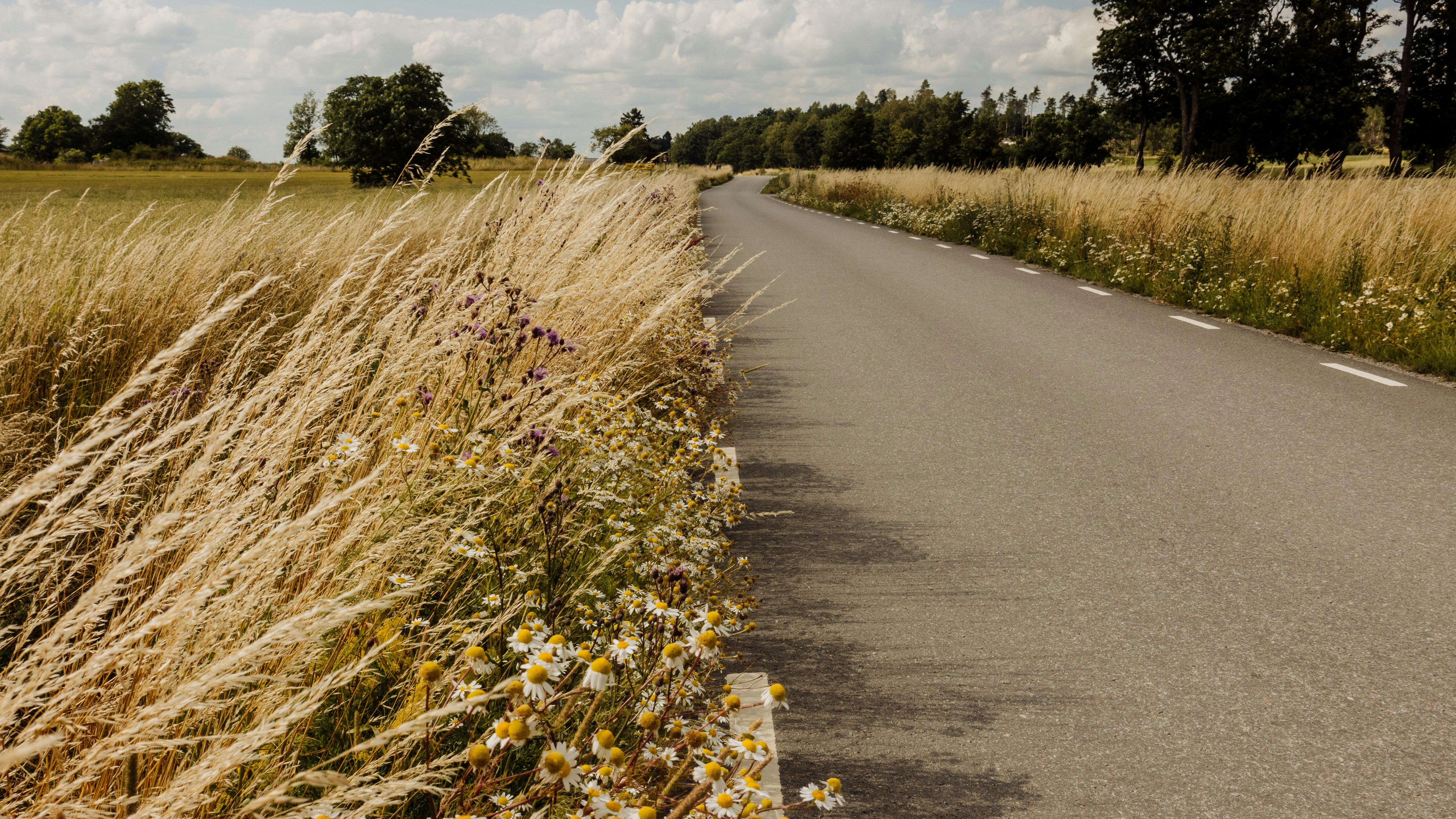 Photo by niklasveenhuis