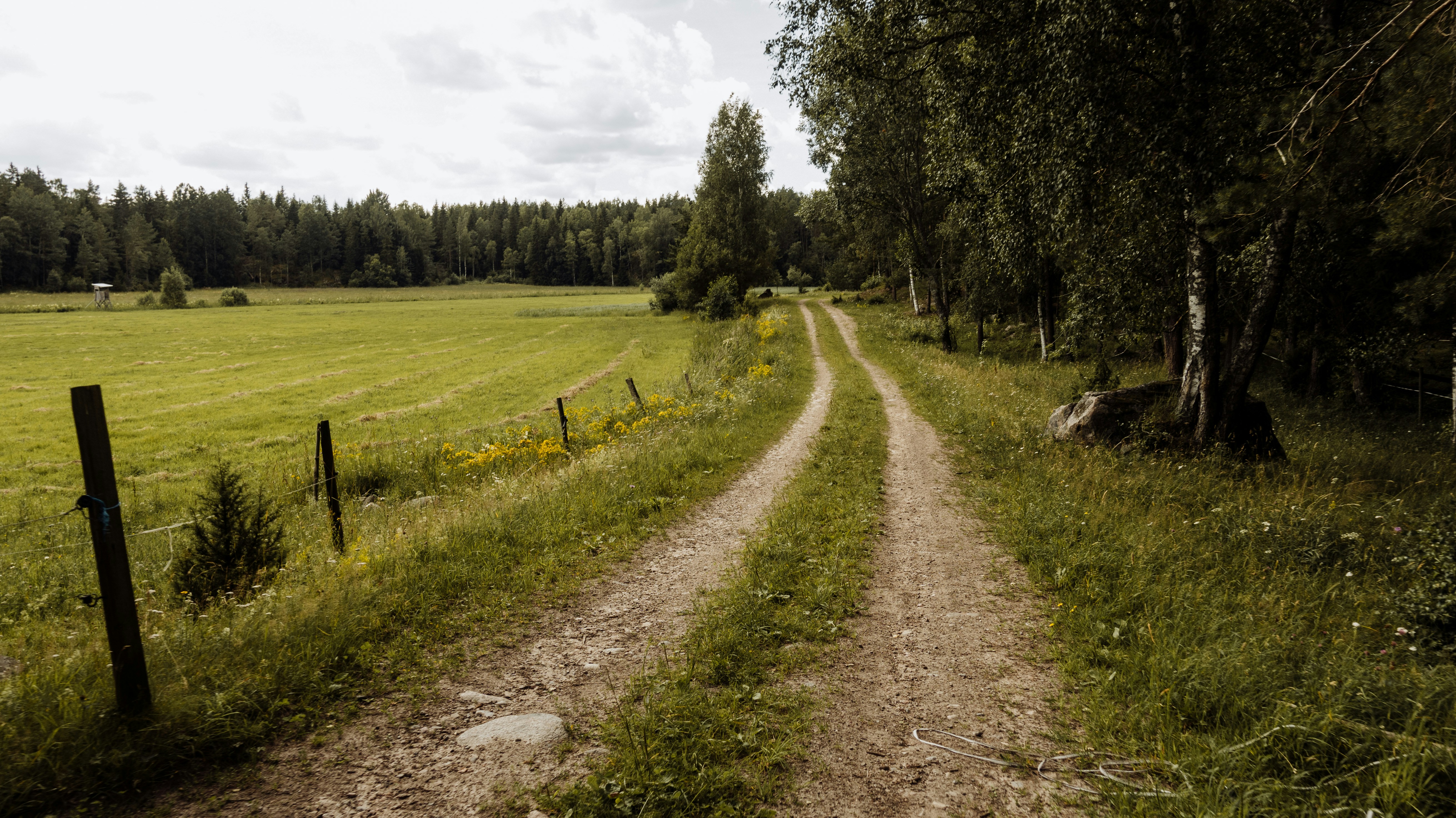 Photo by niklasveenhuis