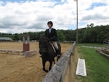 A person in equestrian attire rides a black horse in an outdoor arena. The area is surrounded by a wooden fence, with a clear view of the sky showing some clouds. Trees and greenery can be seen in the background, along with some bleachers on the right and a small structure on the left.