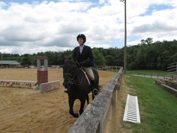 A person in equestrian attire rides a black horse in an outdoor arena. The area is surrounded by a wooden fence, with a clear view of the sky showing some clouds. Trees and greenery can be seen in the background, along with some bleachers on the right and a small structure on the left.