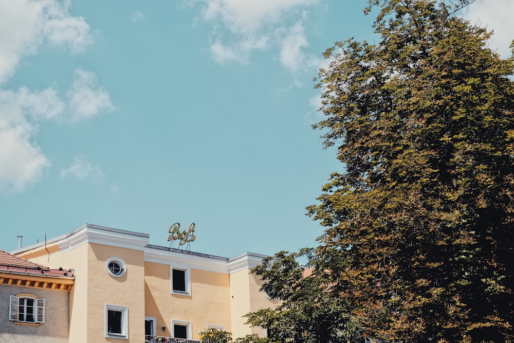 green tree beside beige concrete building