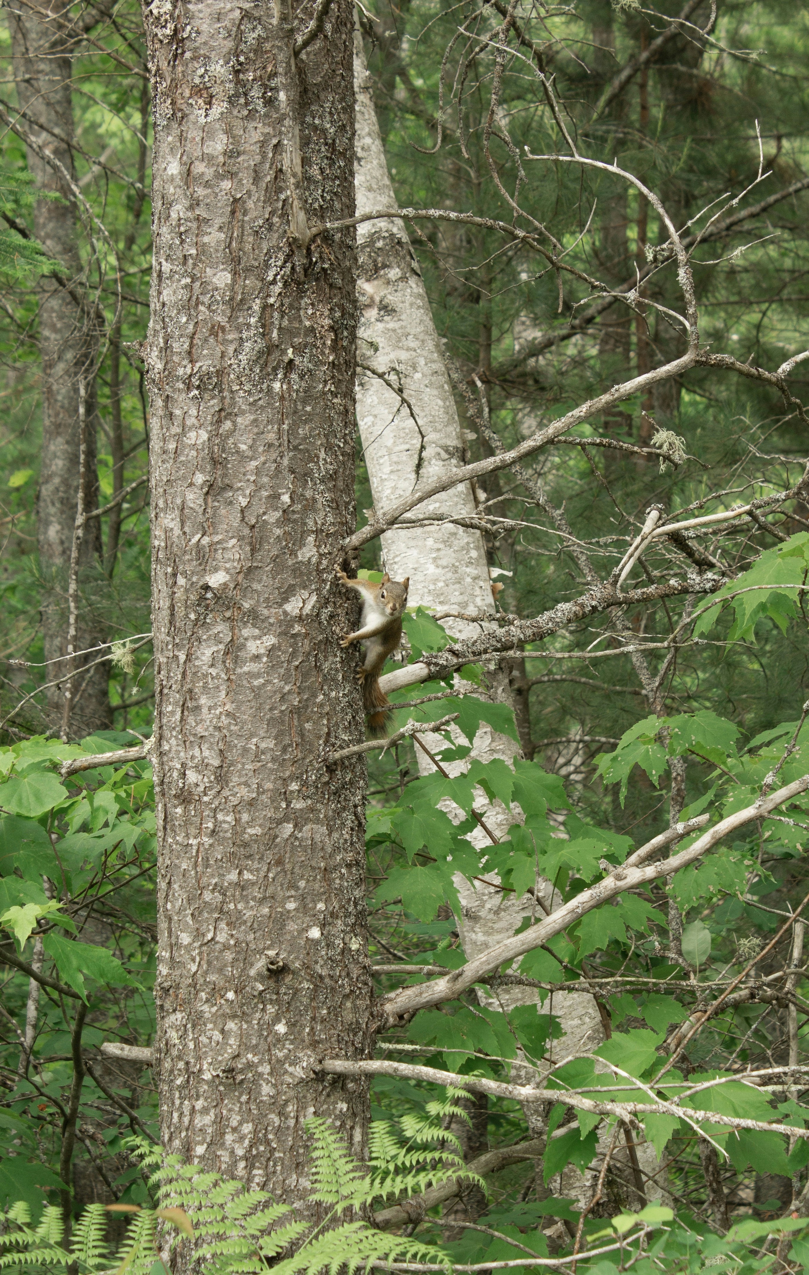 Photo by joyfulcaptures