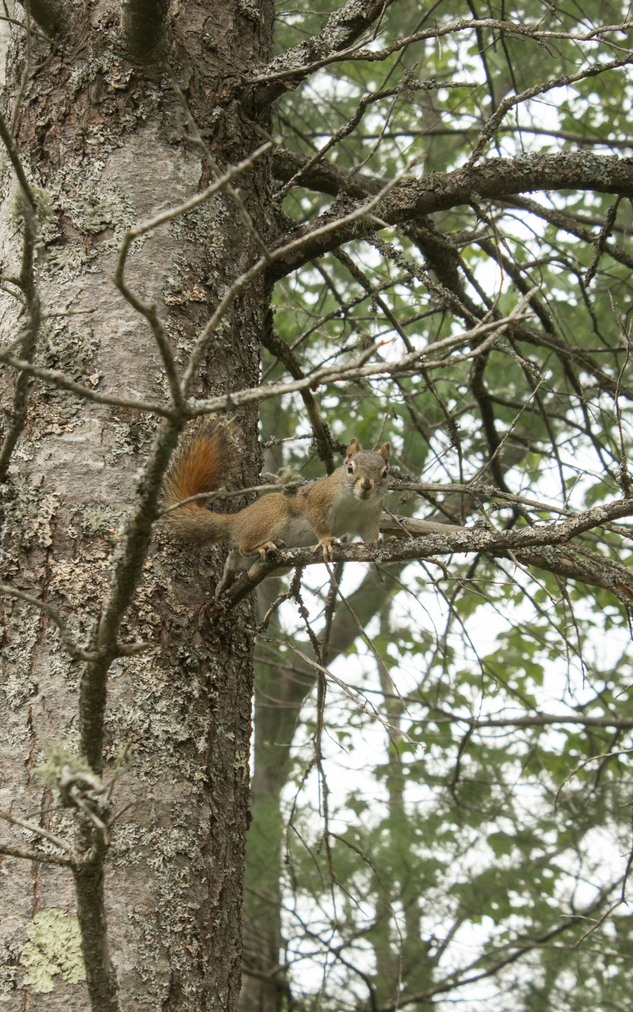 Photo by joyfulcaptures