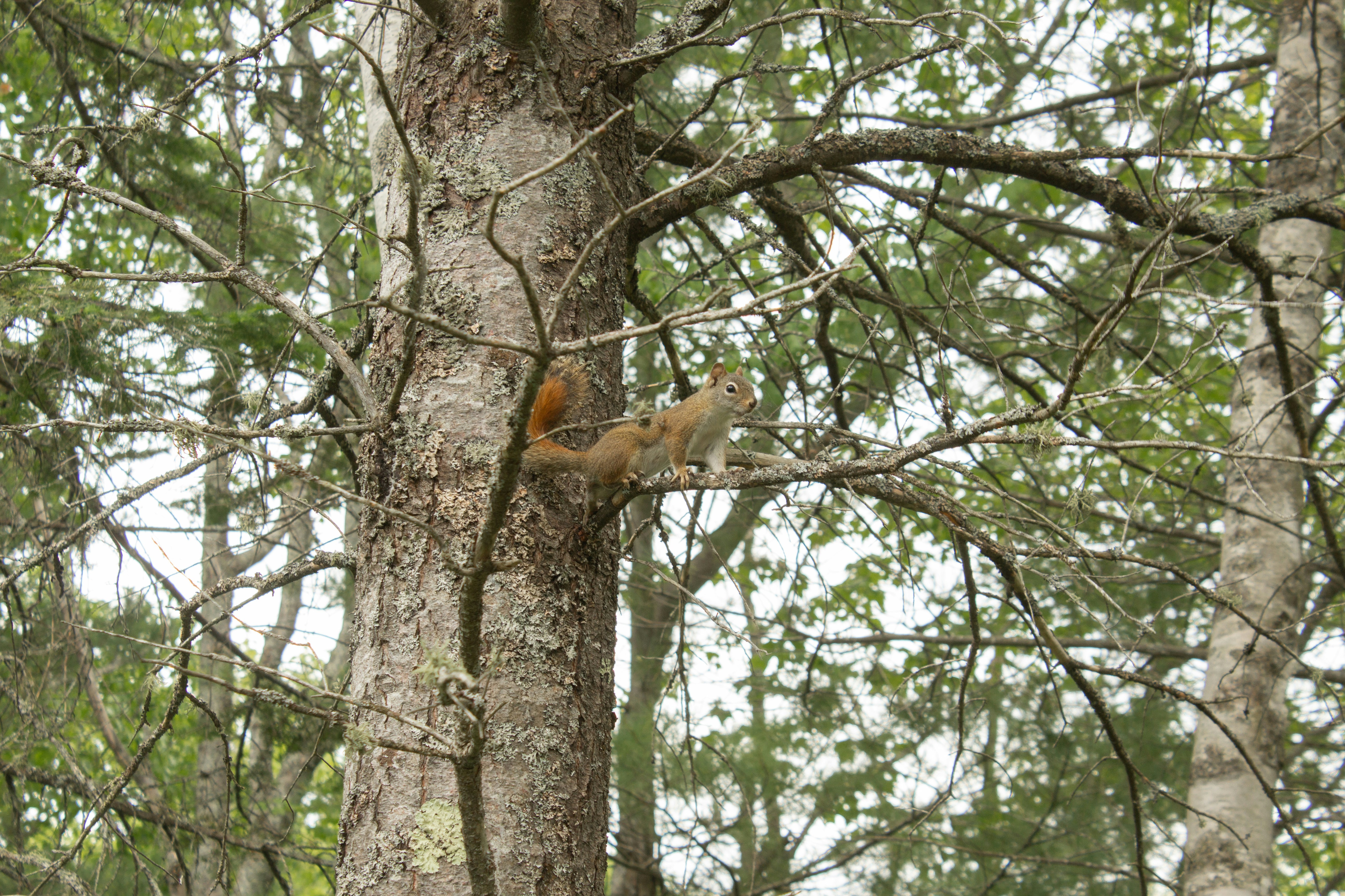 Photo by joyfulcaptures