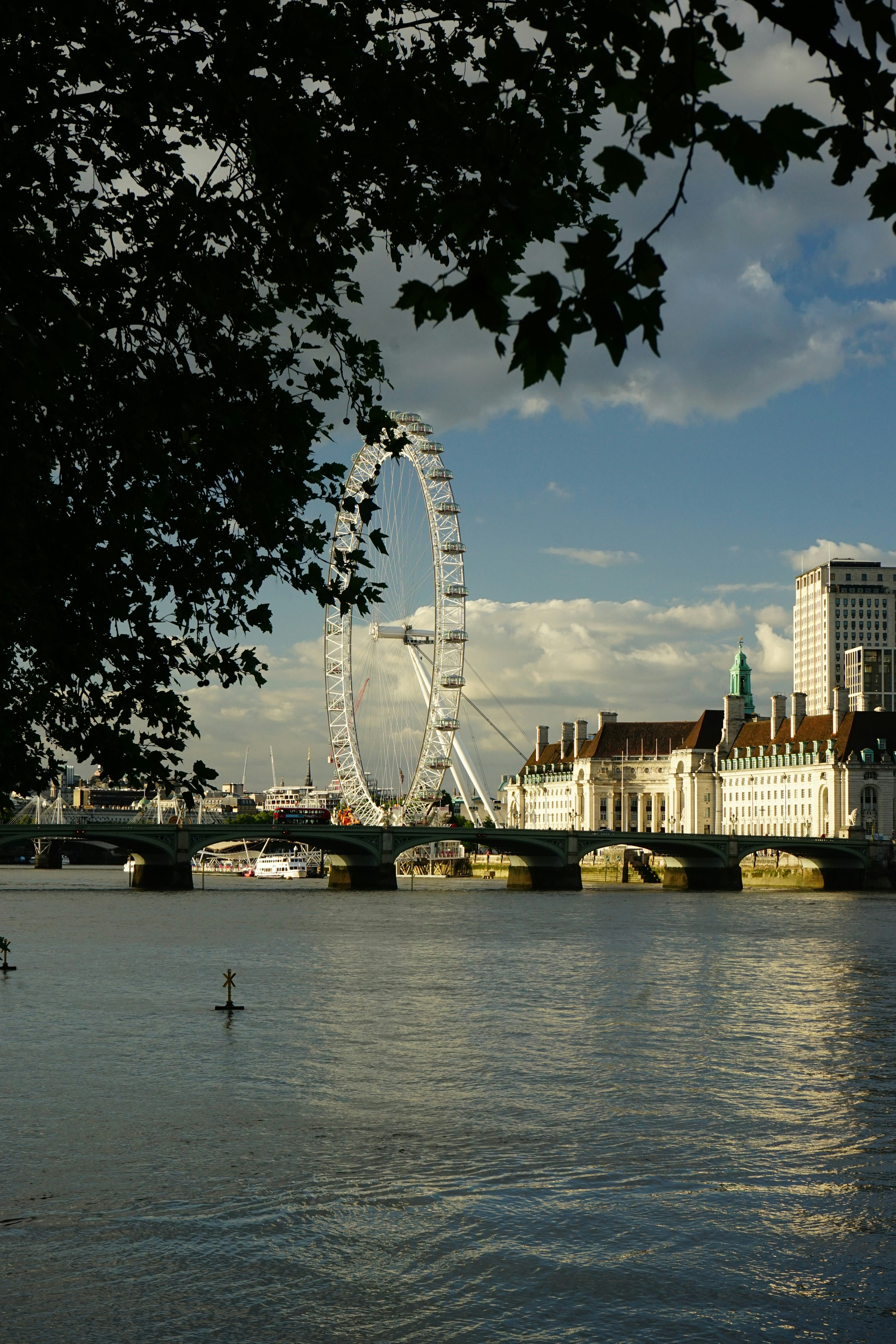 white ferris wheel near body of water during daytime