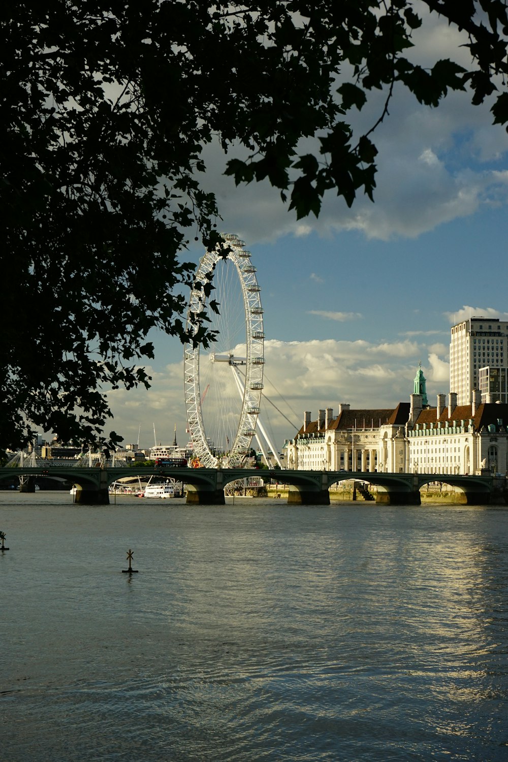 white ferris wheel near body of water during daytime